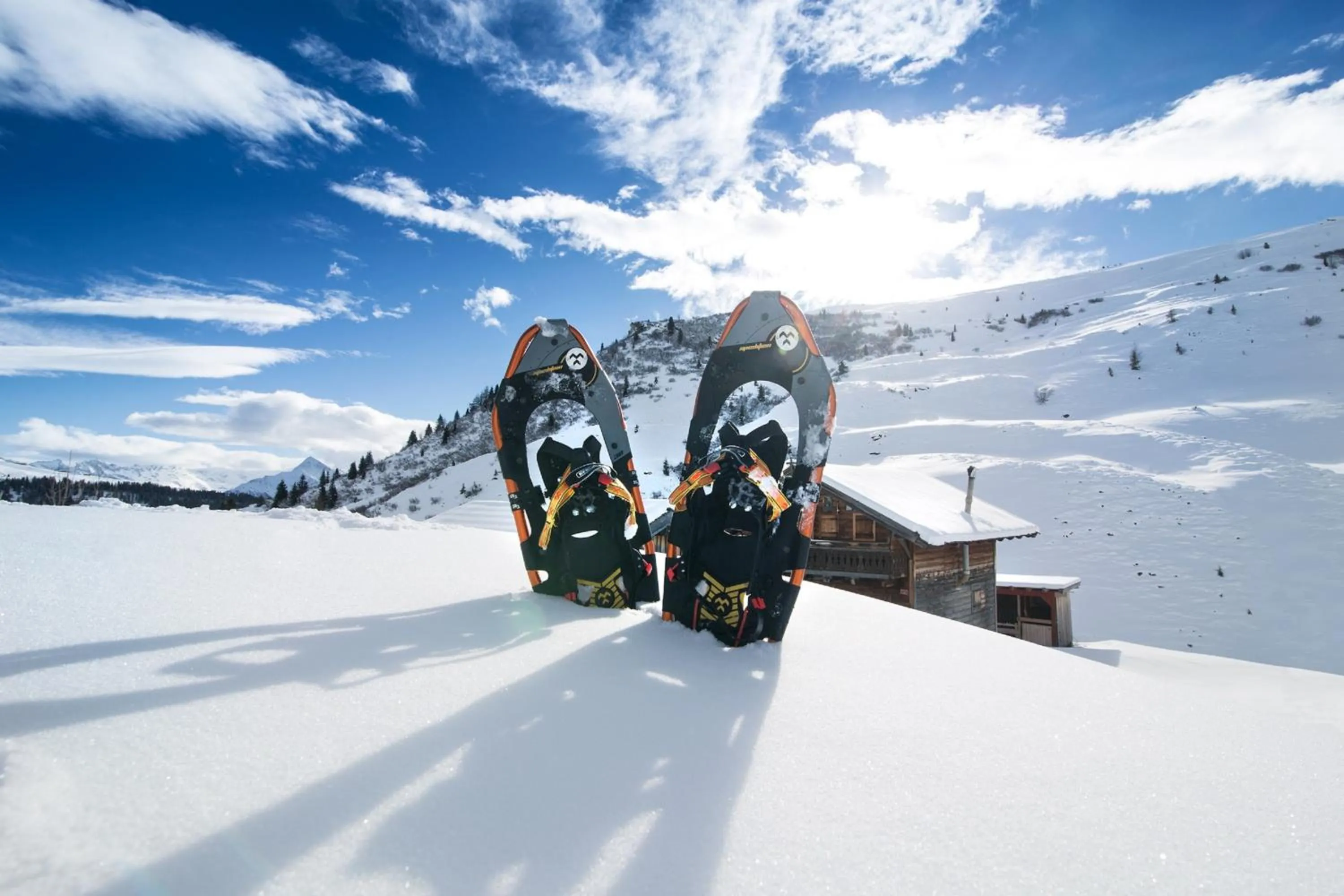 Winter in Hotel Eden