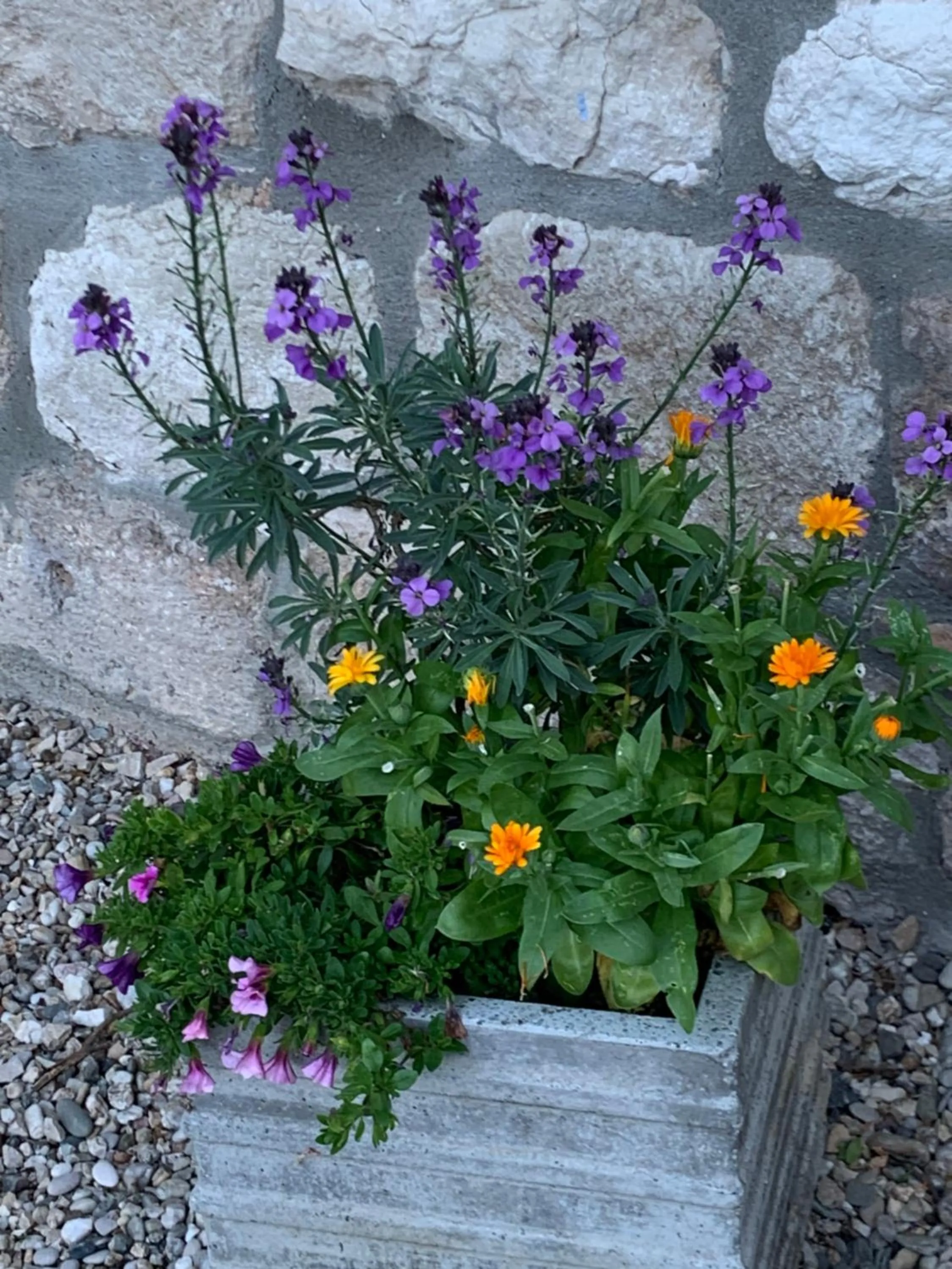 Spring in MAISON BEAUMONT