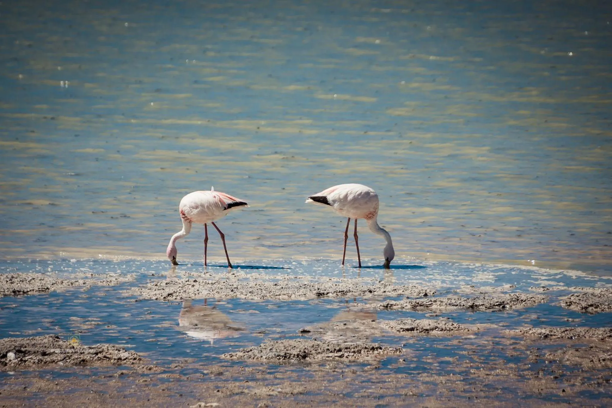 Natural landscape in Hotel Cuesta de Miranda