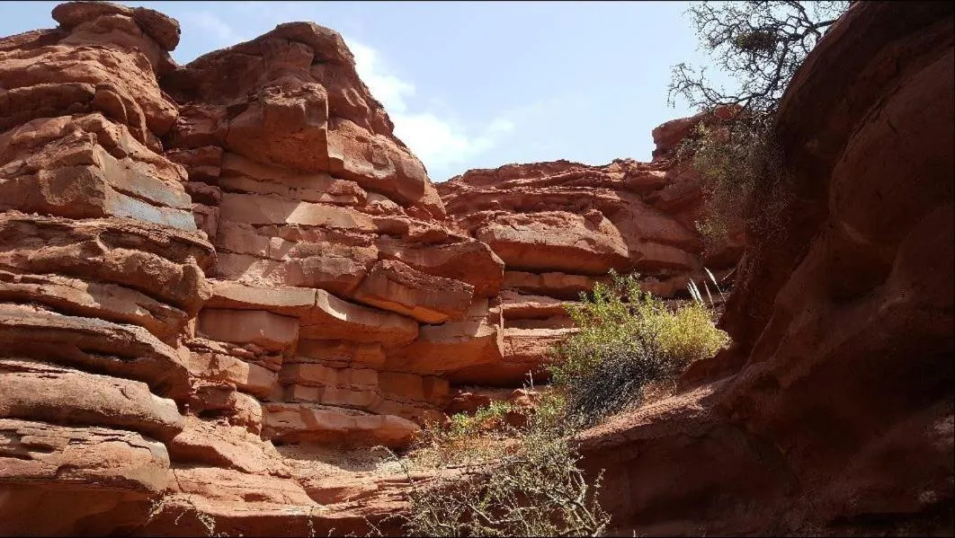 Natural landscape in Hotel Cuesta de Miranda