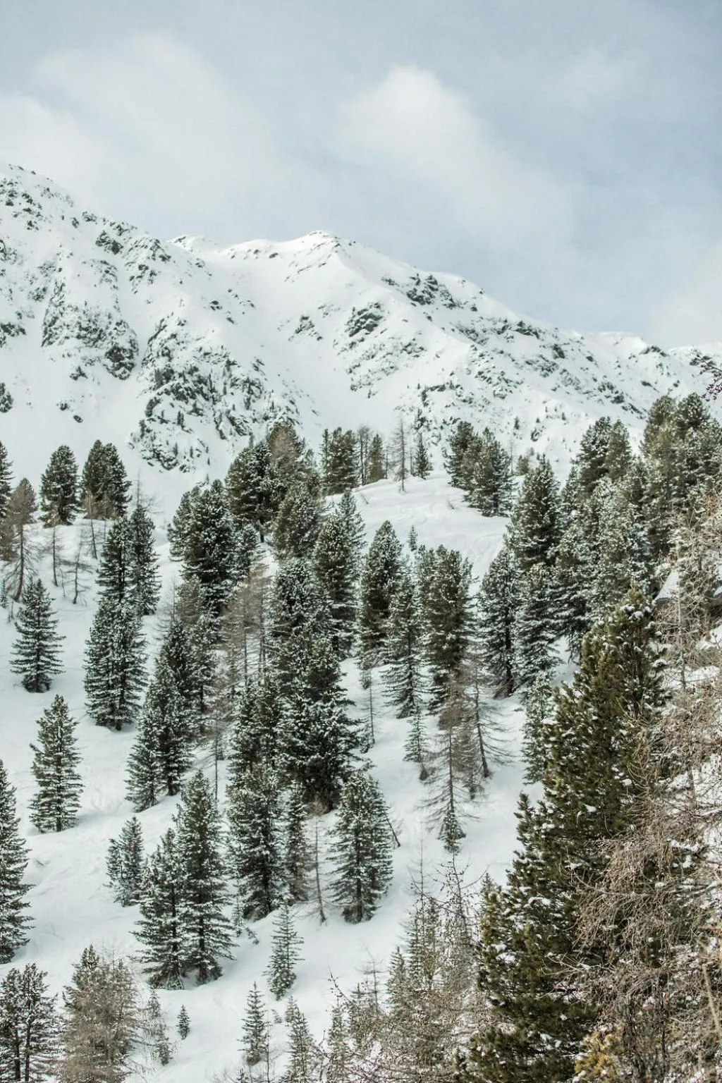 Natural landscape in Bühelwirt