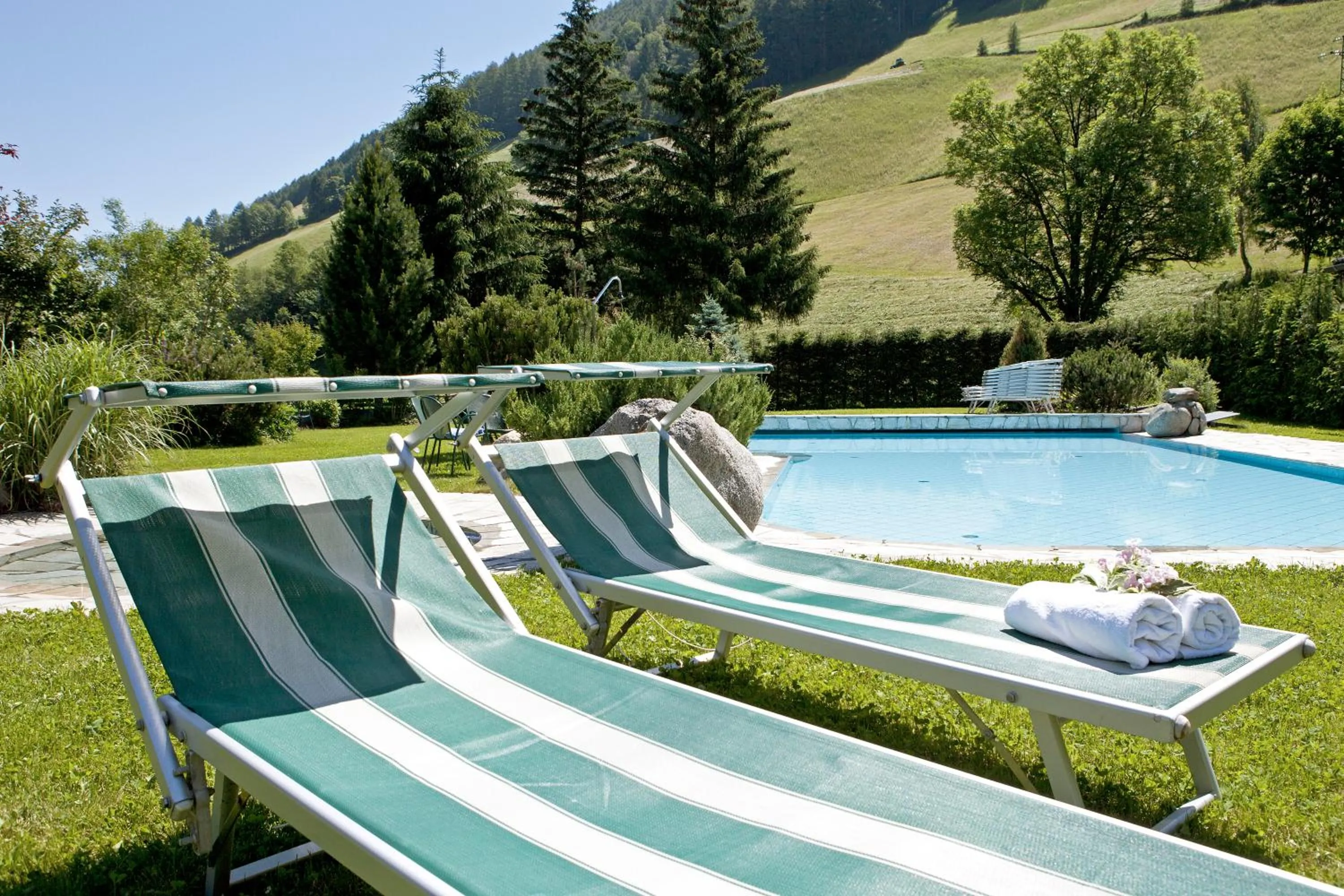 Swimming pool in Hotel Stegerhaus