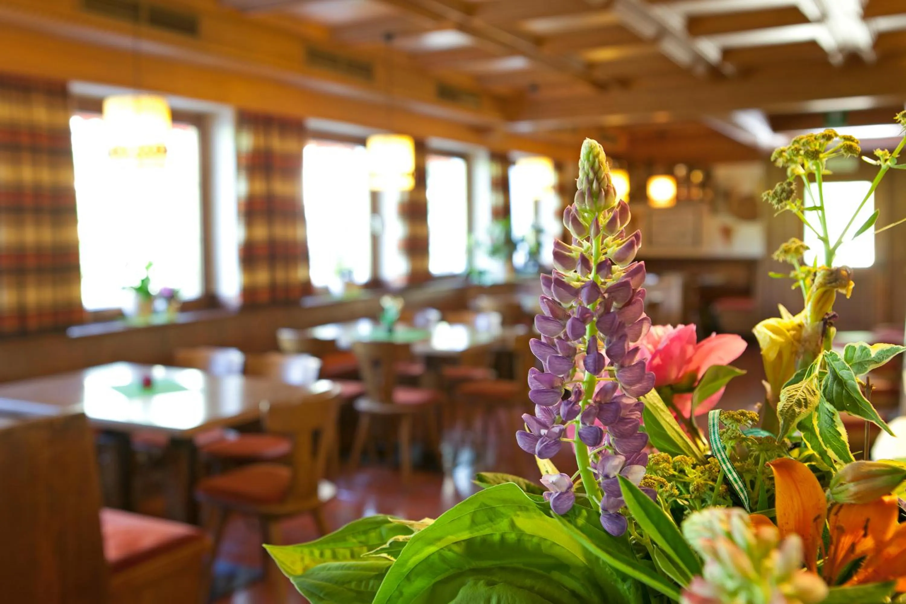 Other in Hotel Stegerhaus