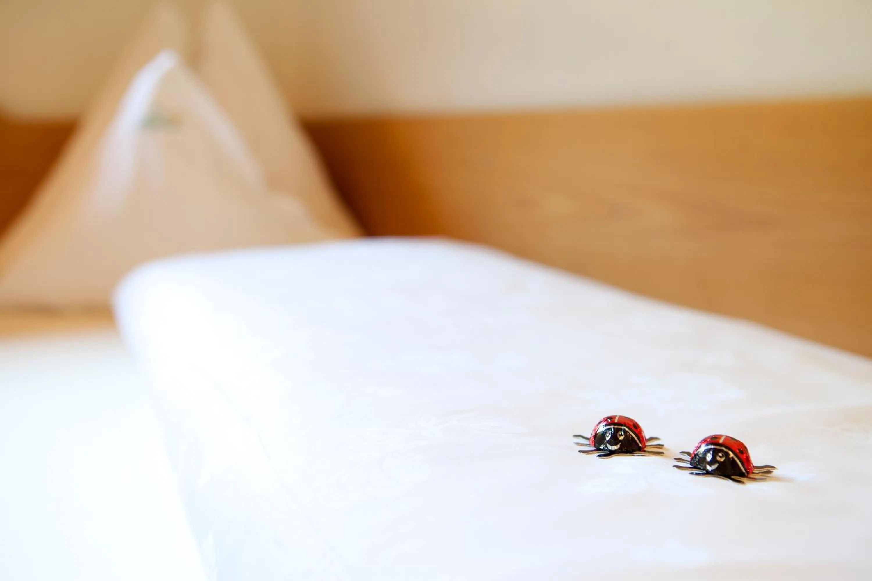 Other, Bed in Hotel Stegerhaus