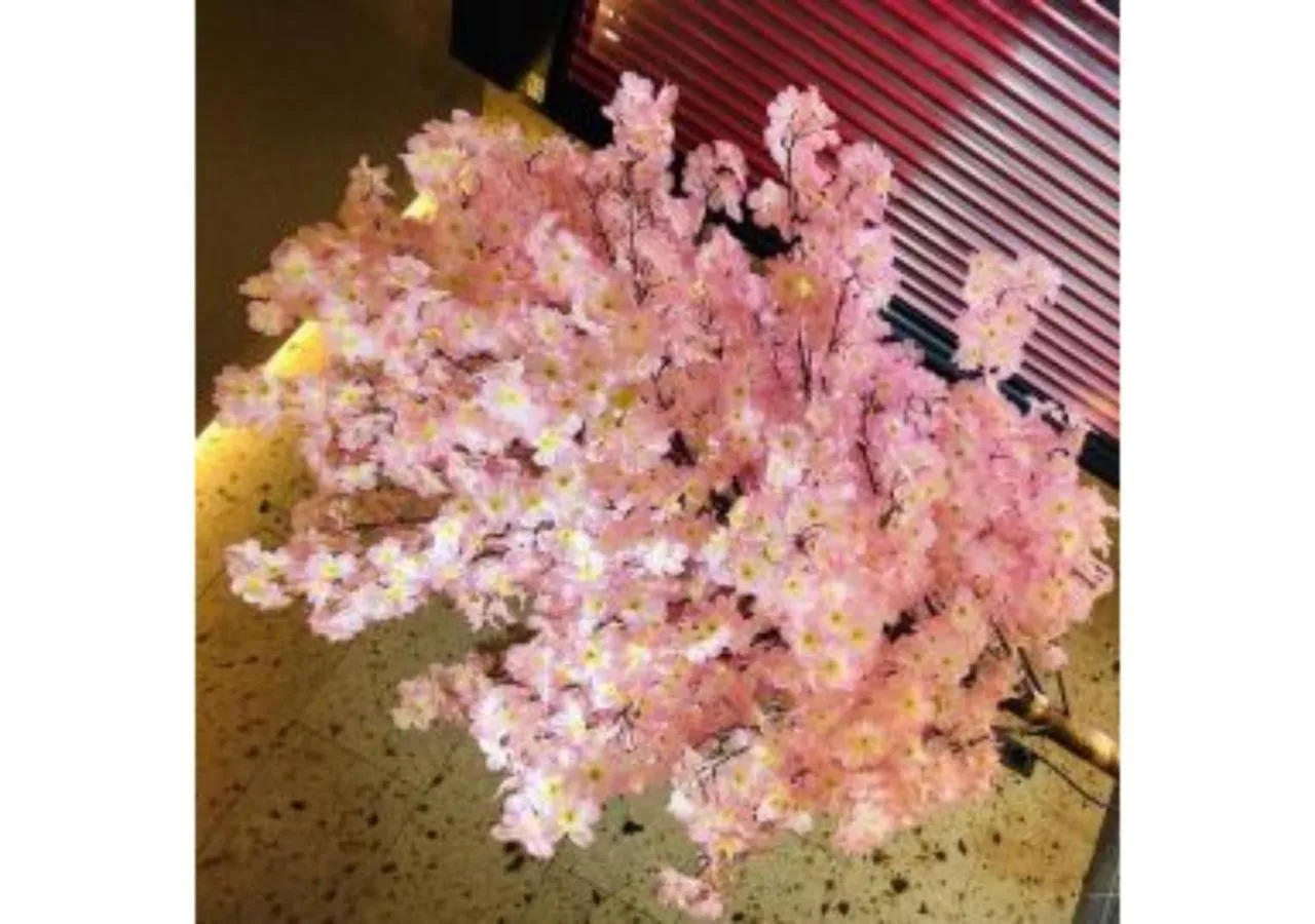 Sakura Sky Hotel - Vacation STAY 18432v