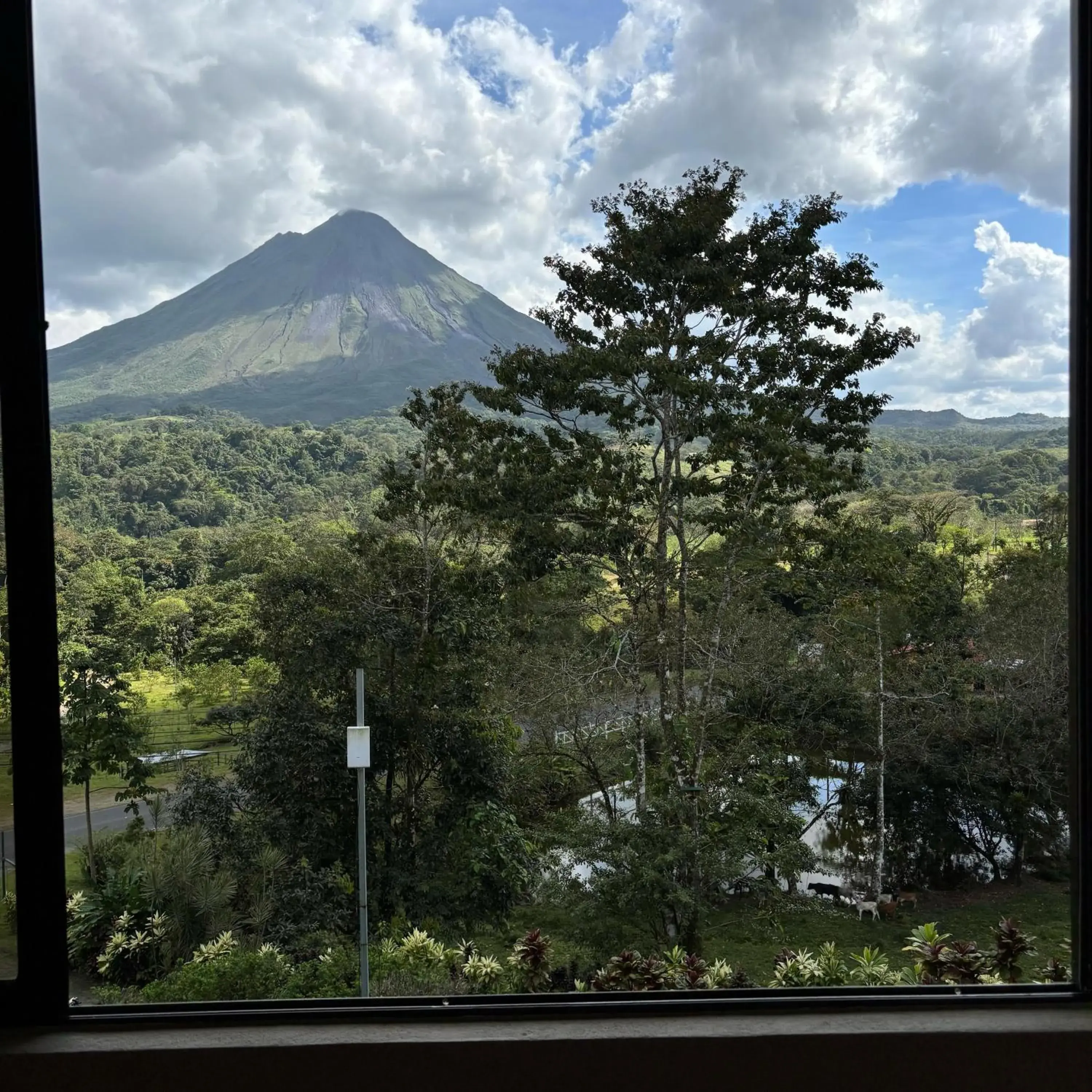 Suite in Arenal Roca Lodge & Bungalows Suite in Arenal Roca Lodge & Bungalows