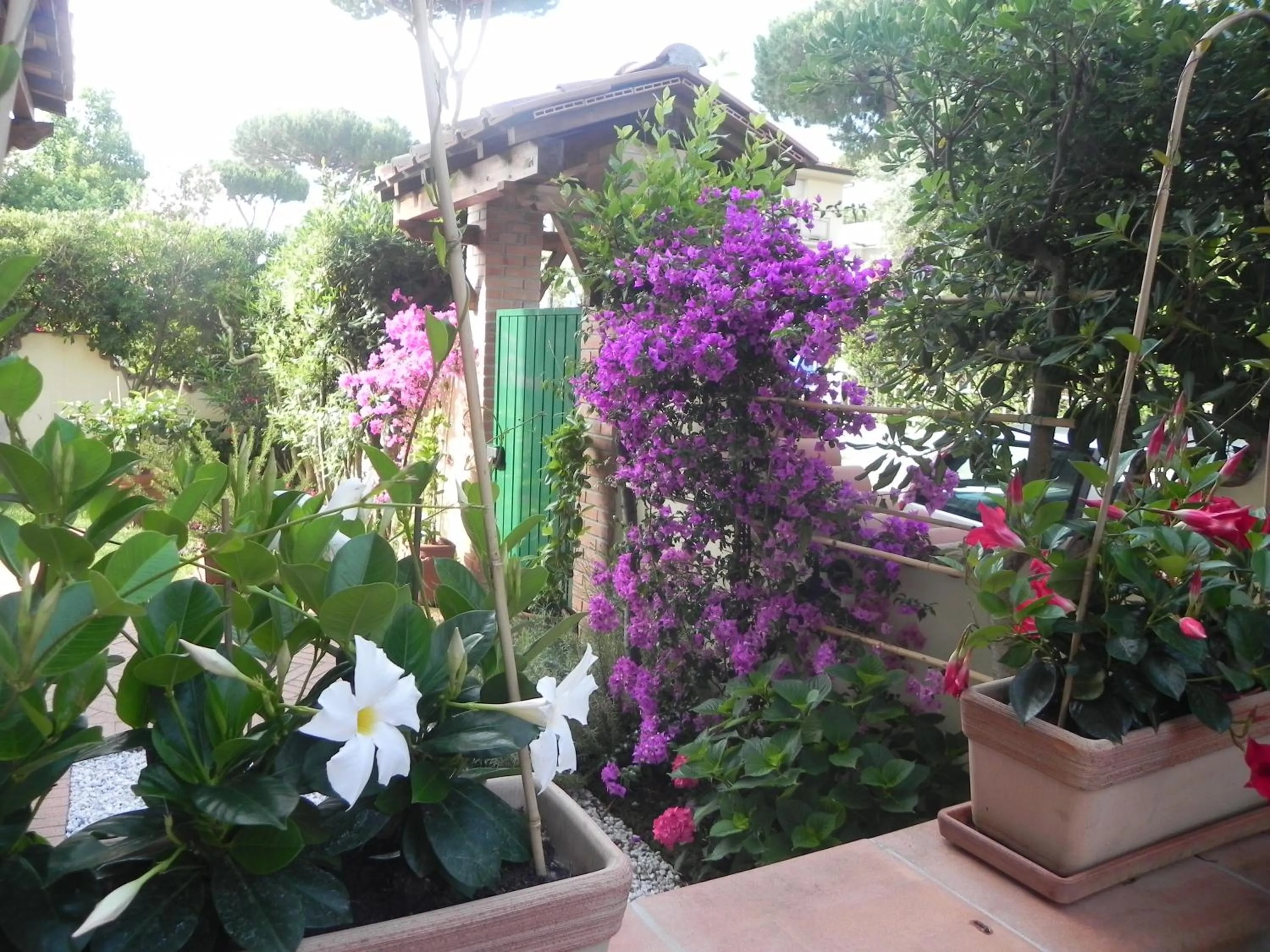 Decorative detail in Villa Il Fortino