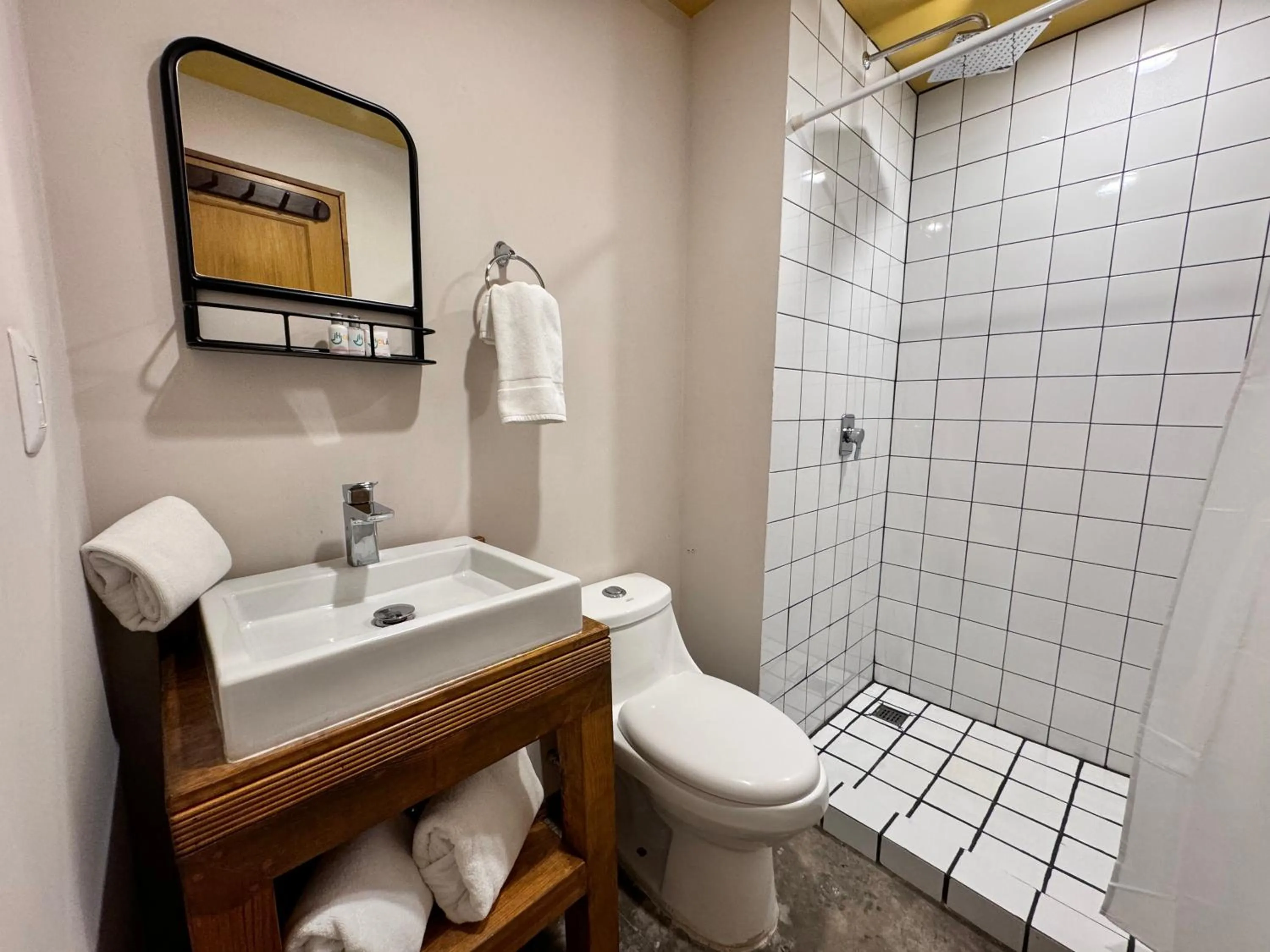 Shower in Hotel Olá Chapultepec