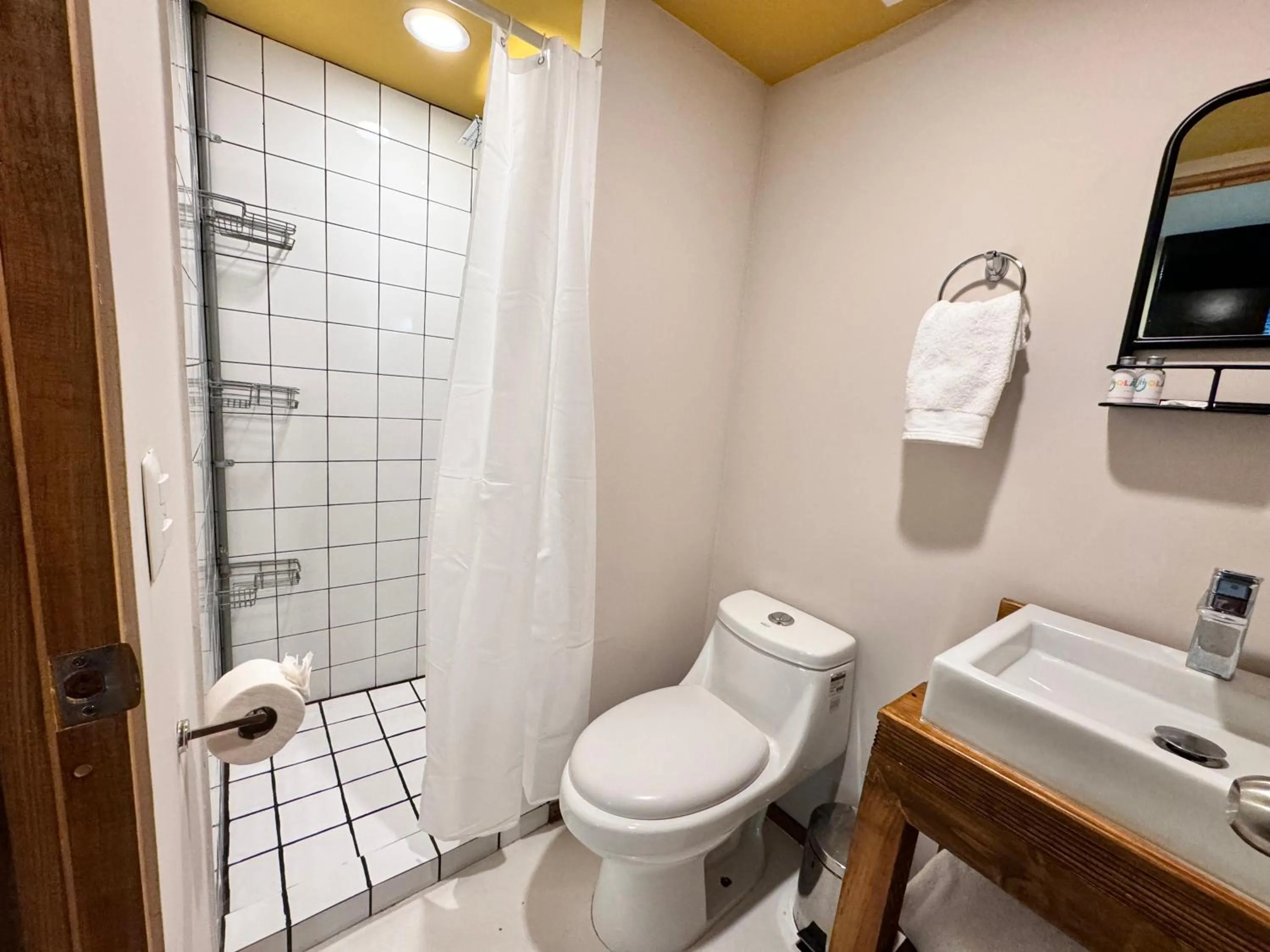 Shower in Hotel Olá Chapultepec