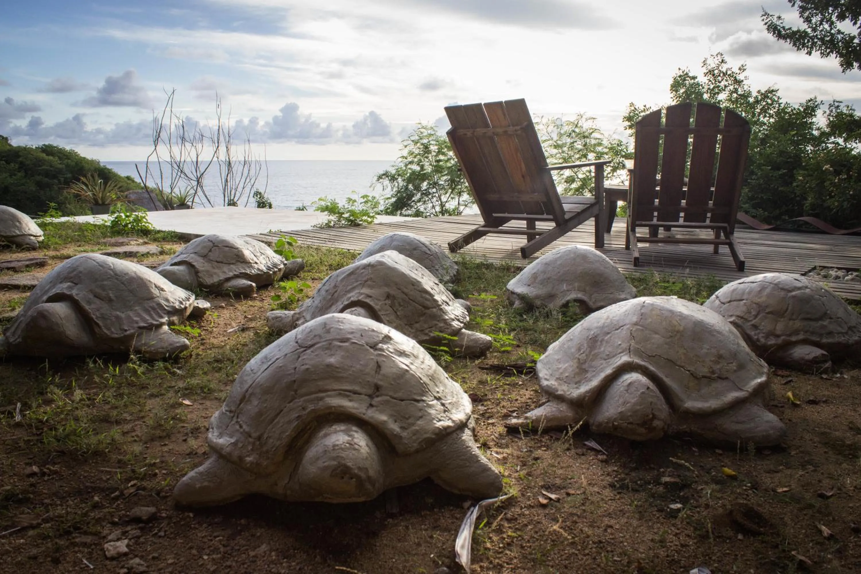 Garden in Casa Mermejita