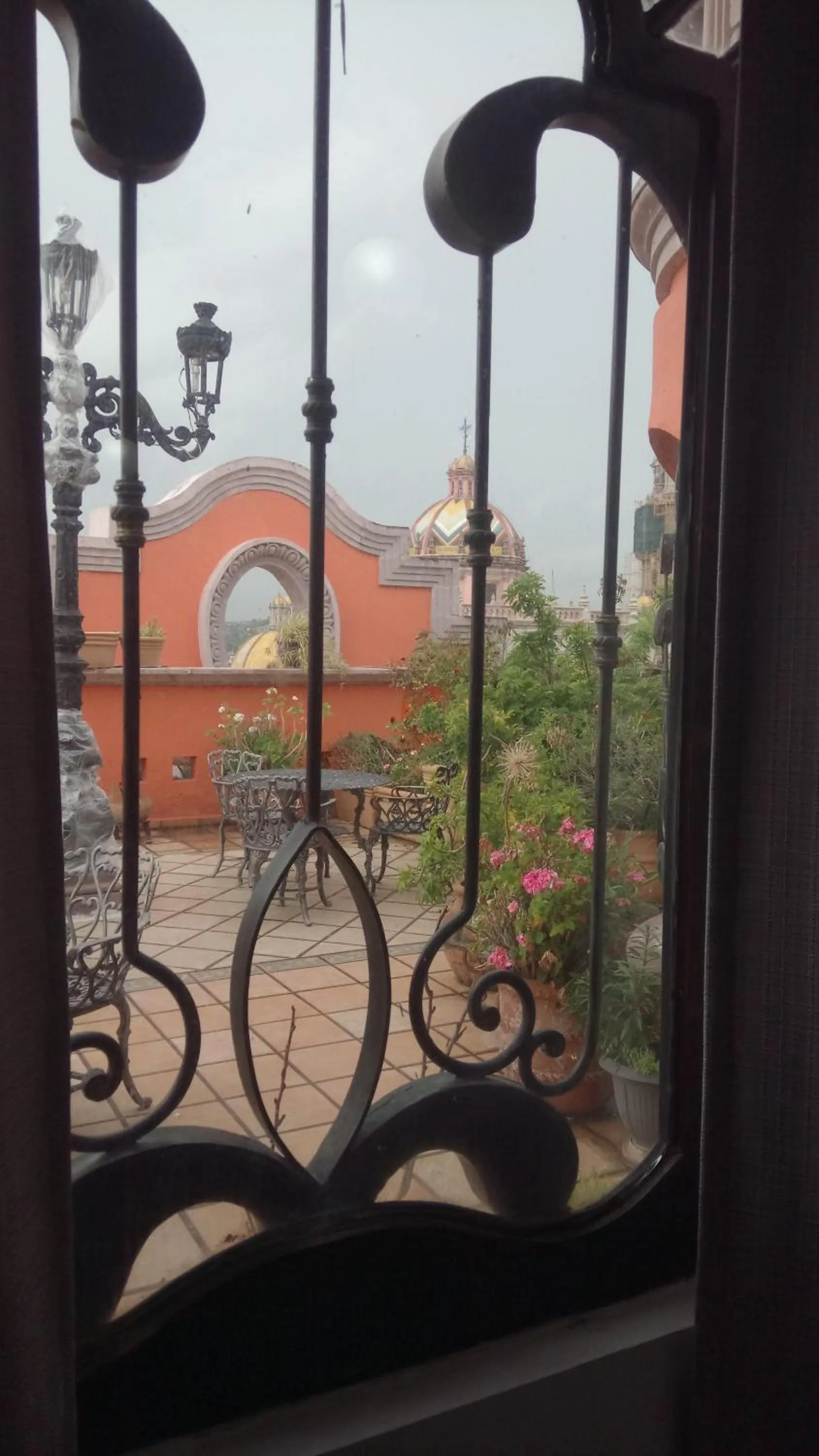 Garden view in Hotel Hacienda los Narcisos