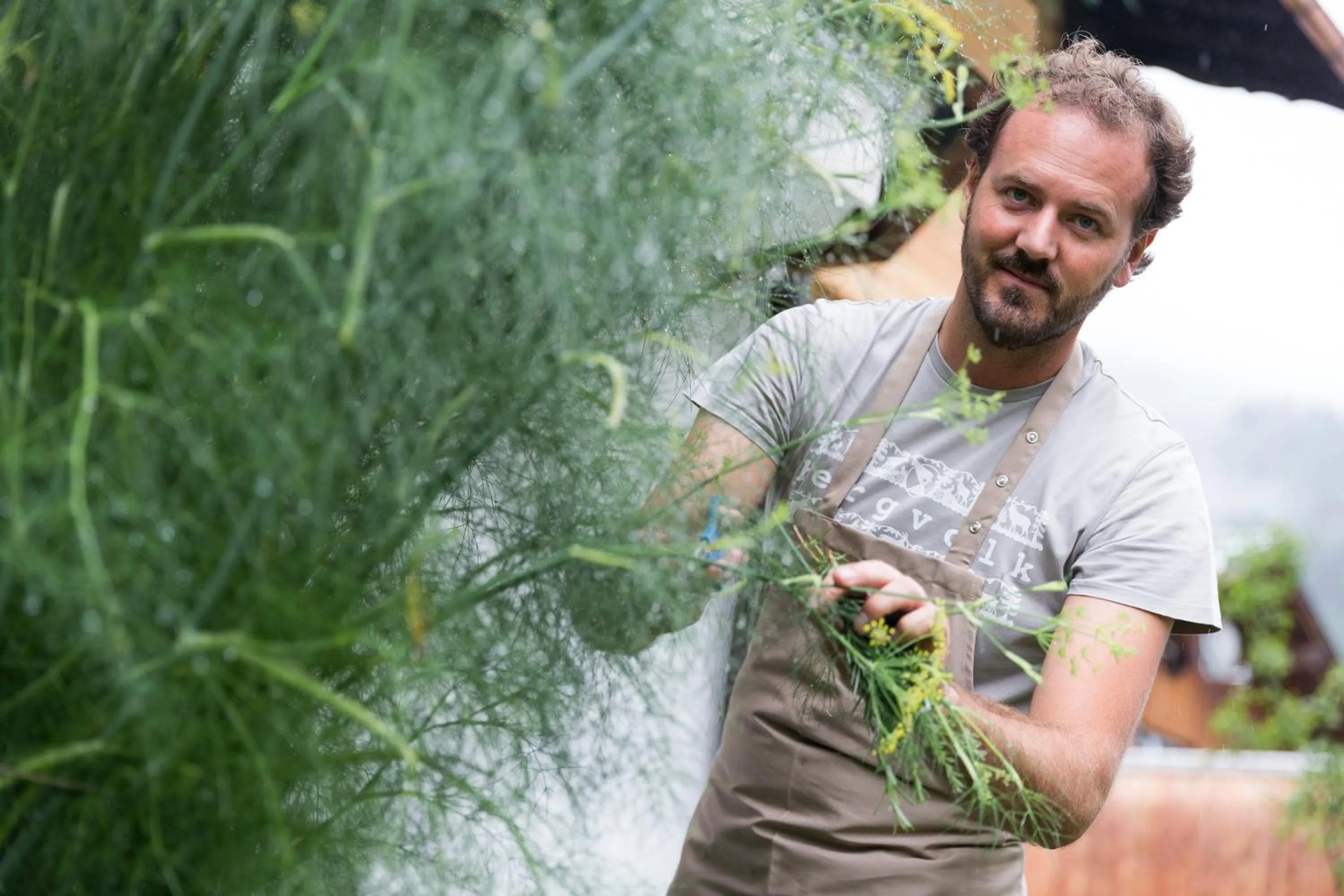 Bio-Hotel Oswalda-Hus