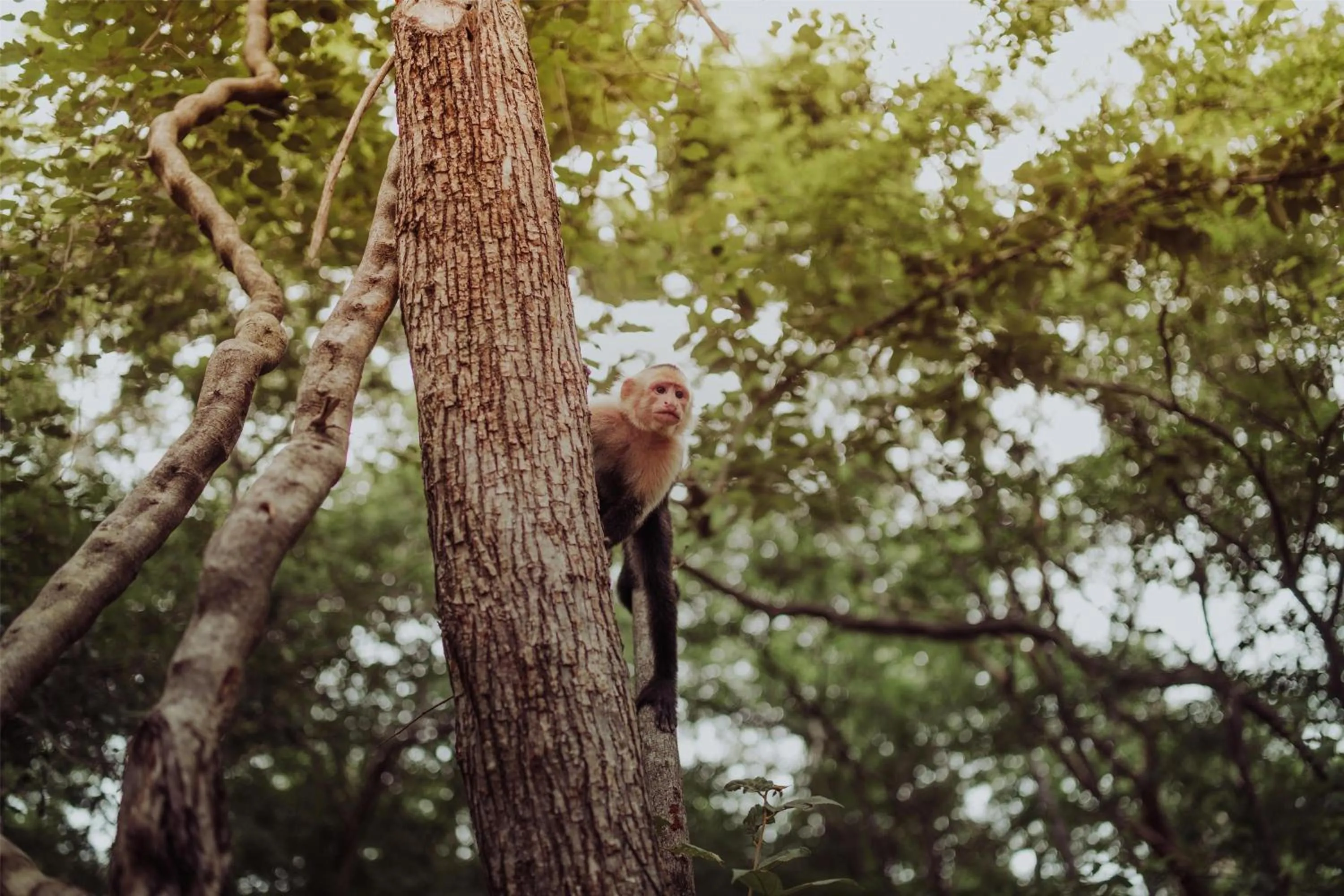 Fitness centre/facilities in Andaz Peninsula Papagayo Resort, Costa Rica, by Hyatt