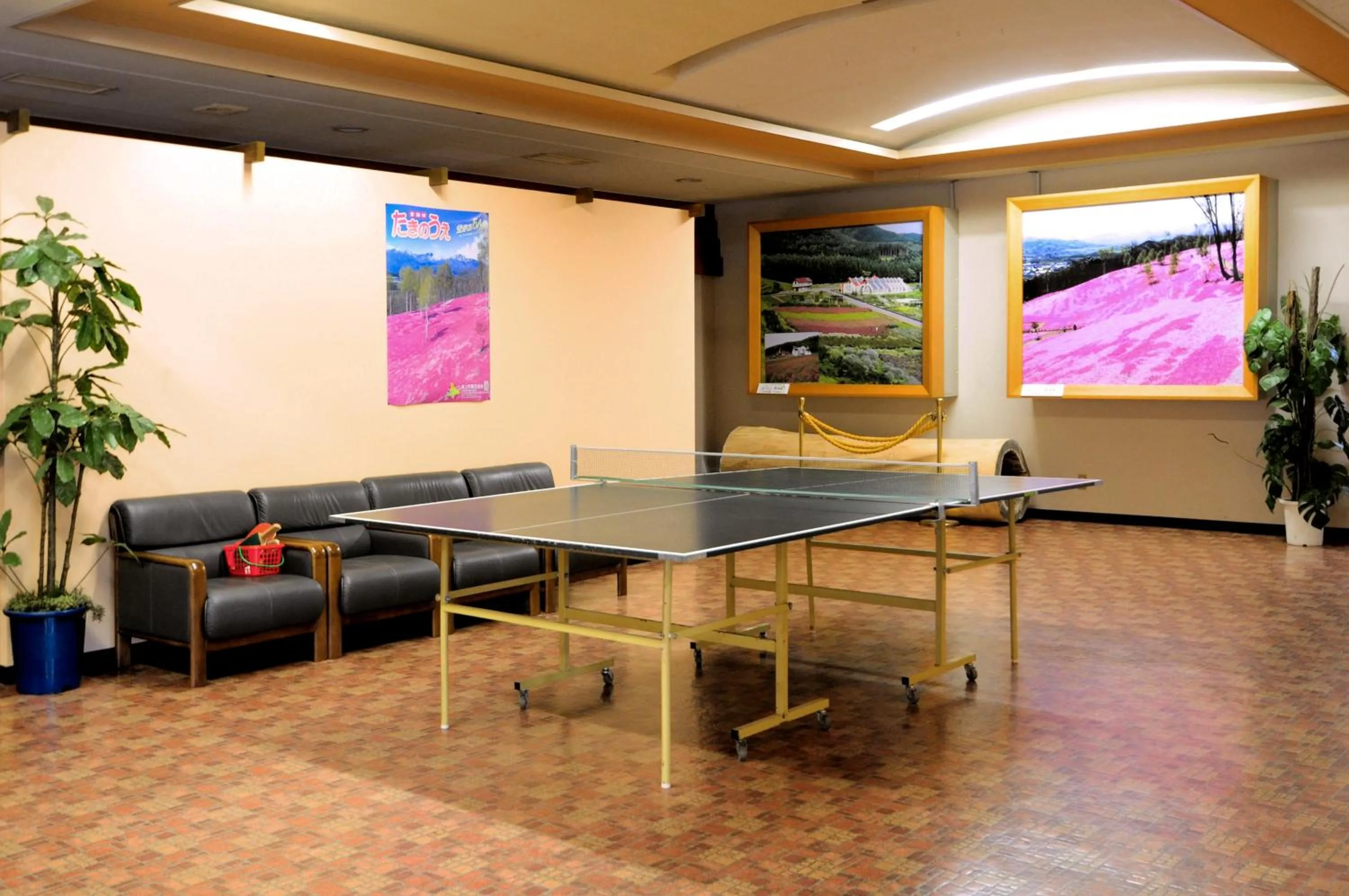 Table tennis in Takinoue Hotel Keikoku