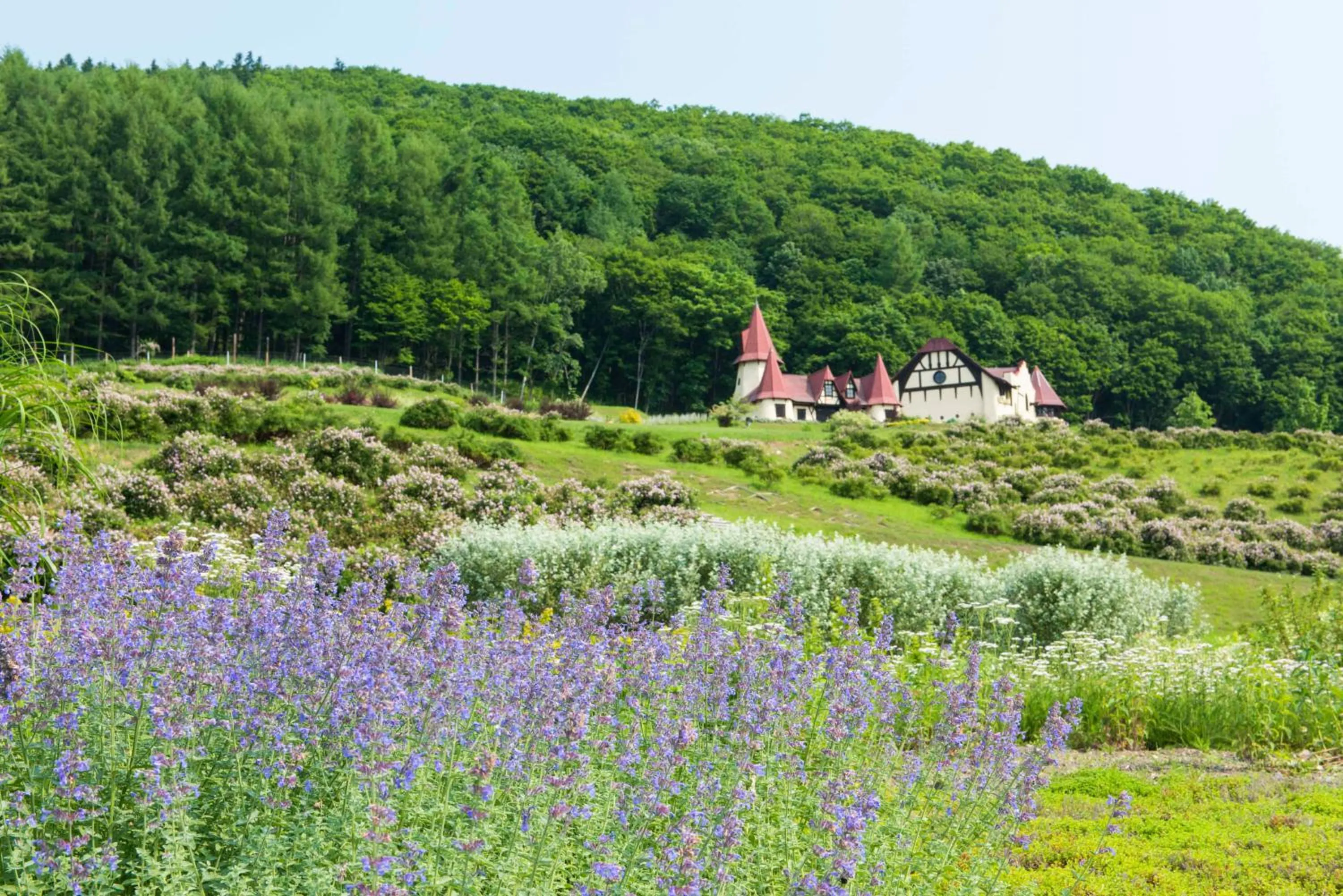 Nearby landmark in Takinoue Hotel Keikoku