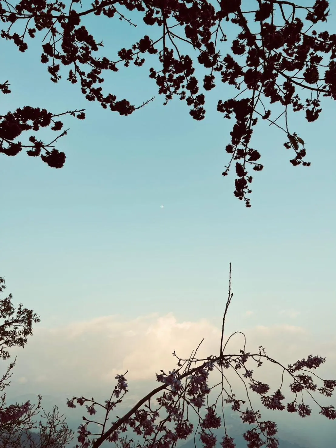 Spring in Spring Ground Resort