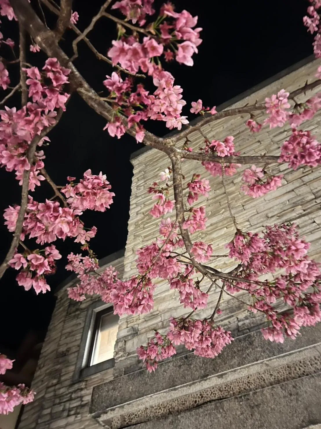 Spring in Spring Ground Resort