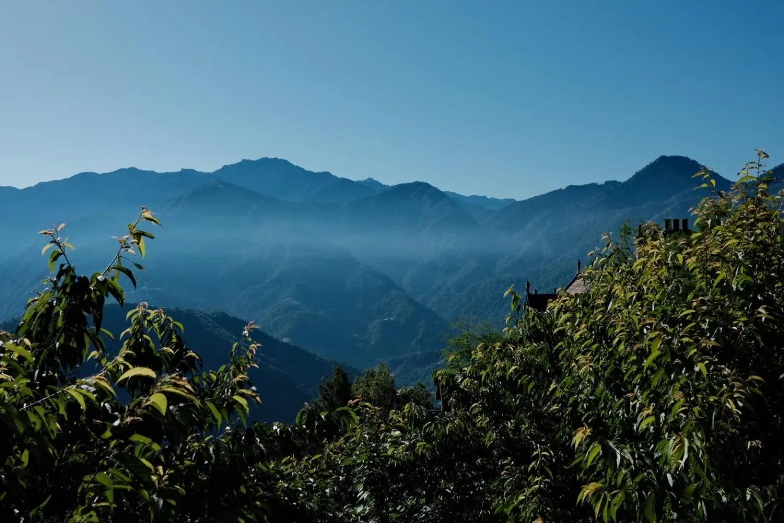 Spring Ground Resort