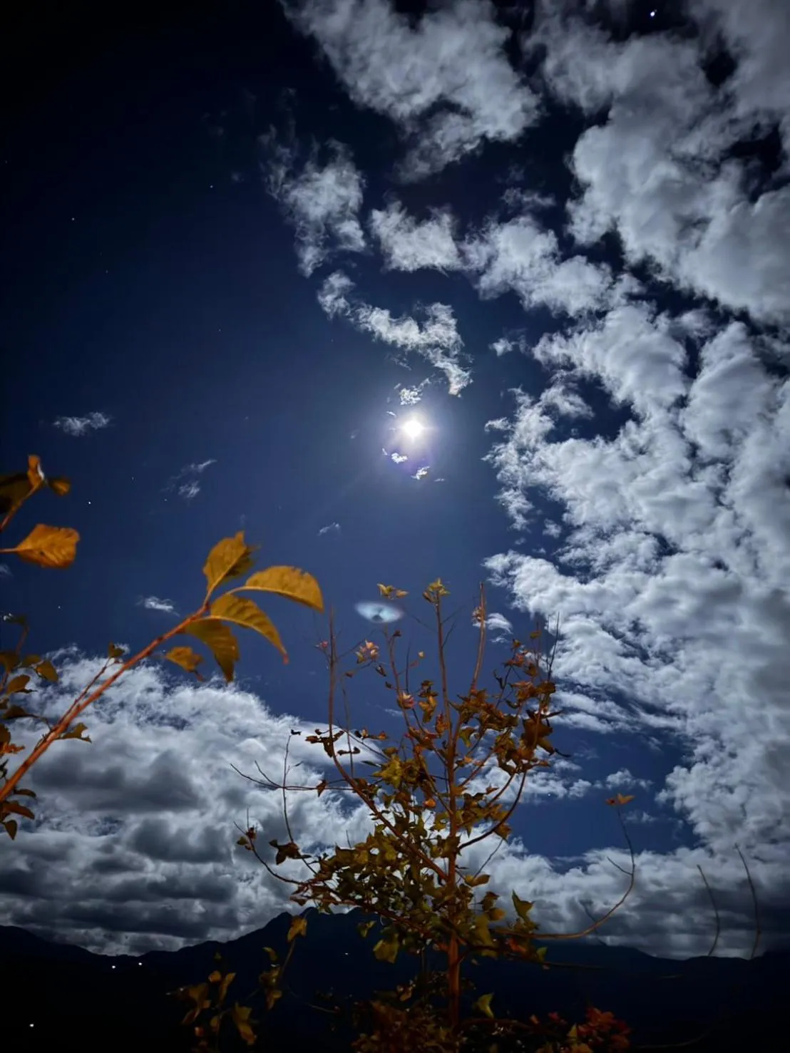 Spring Ground Resort