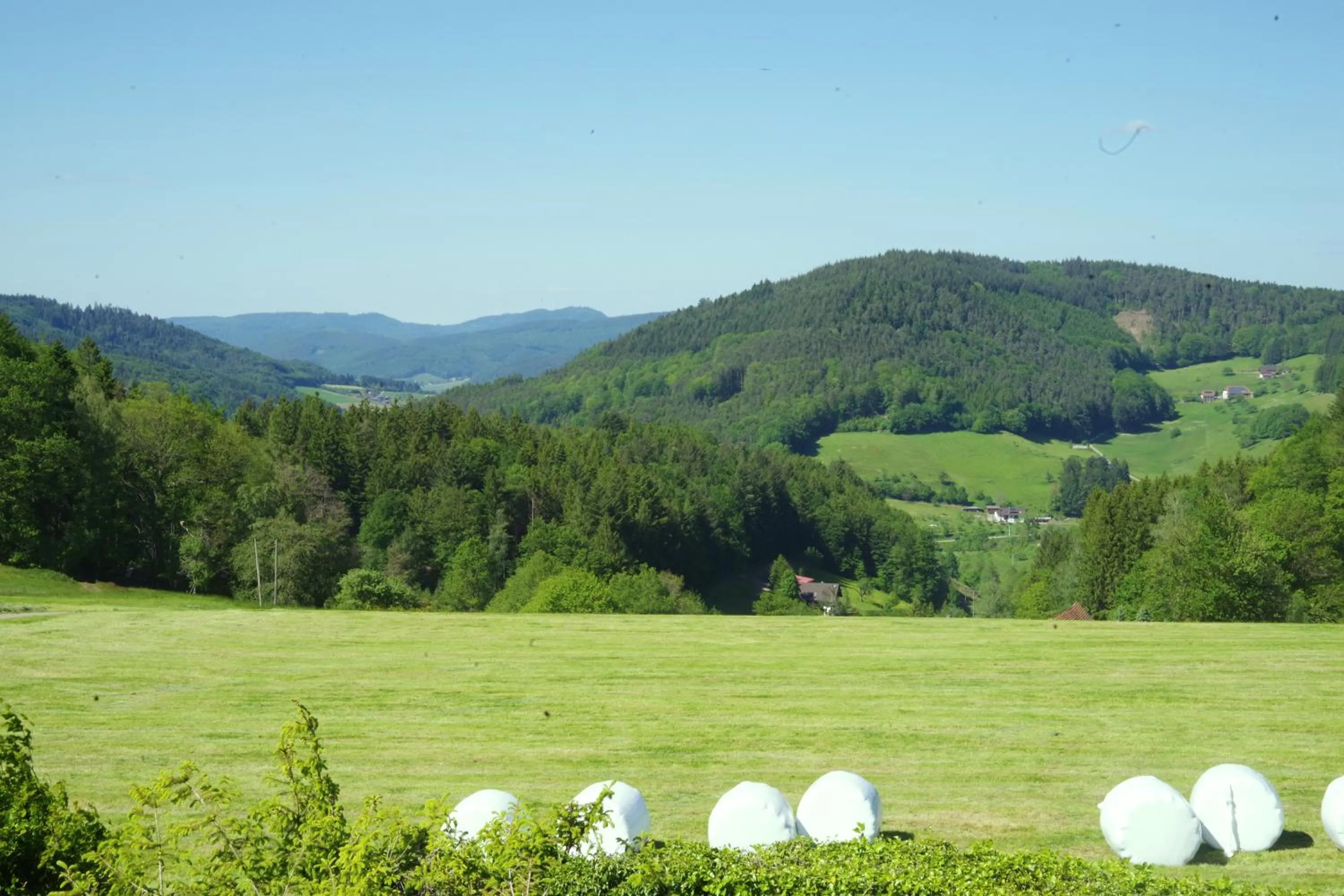 View (from property/room) in Apartment Haus Pflingsteck nahe Europa Park Rulantica