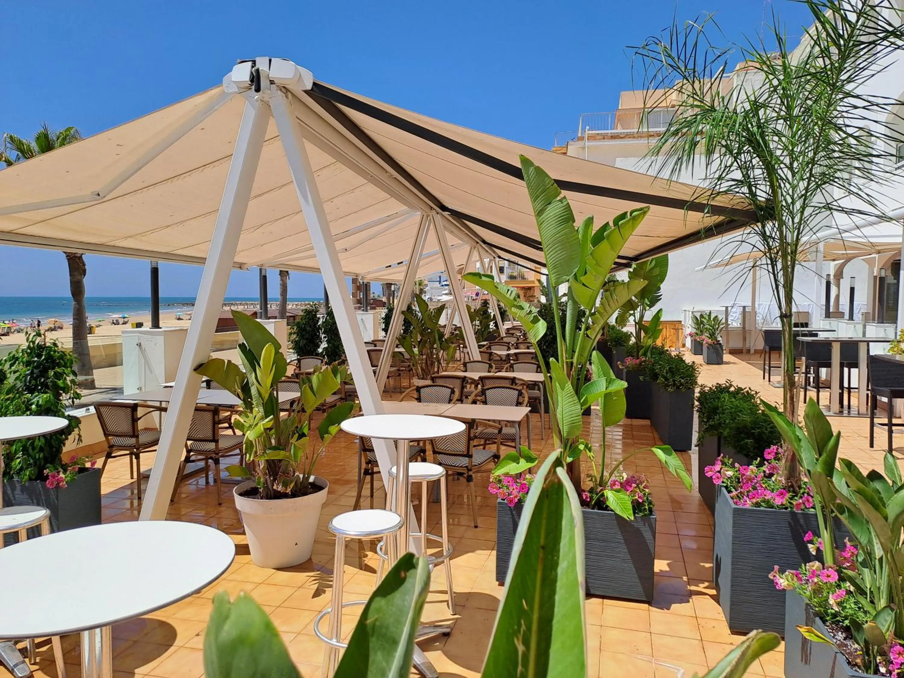 Restaurant/places to eat in Hotel Vértice Chipiona Mar