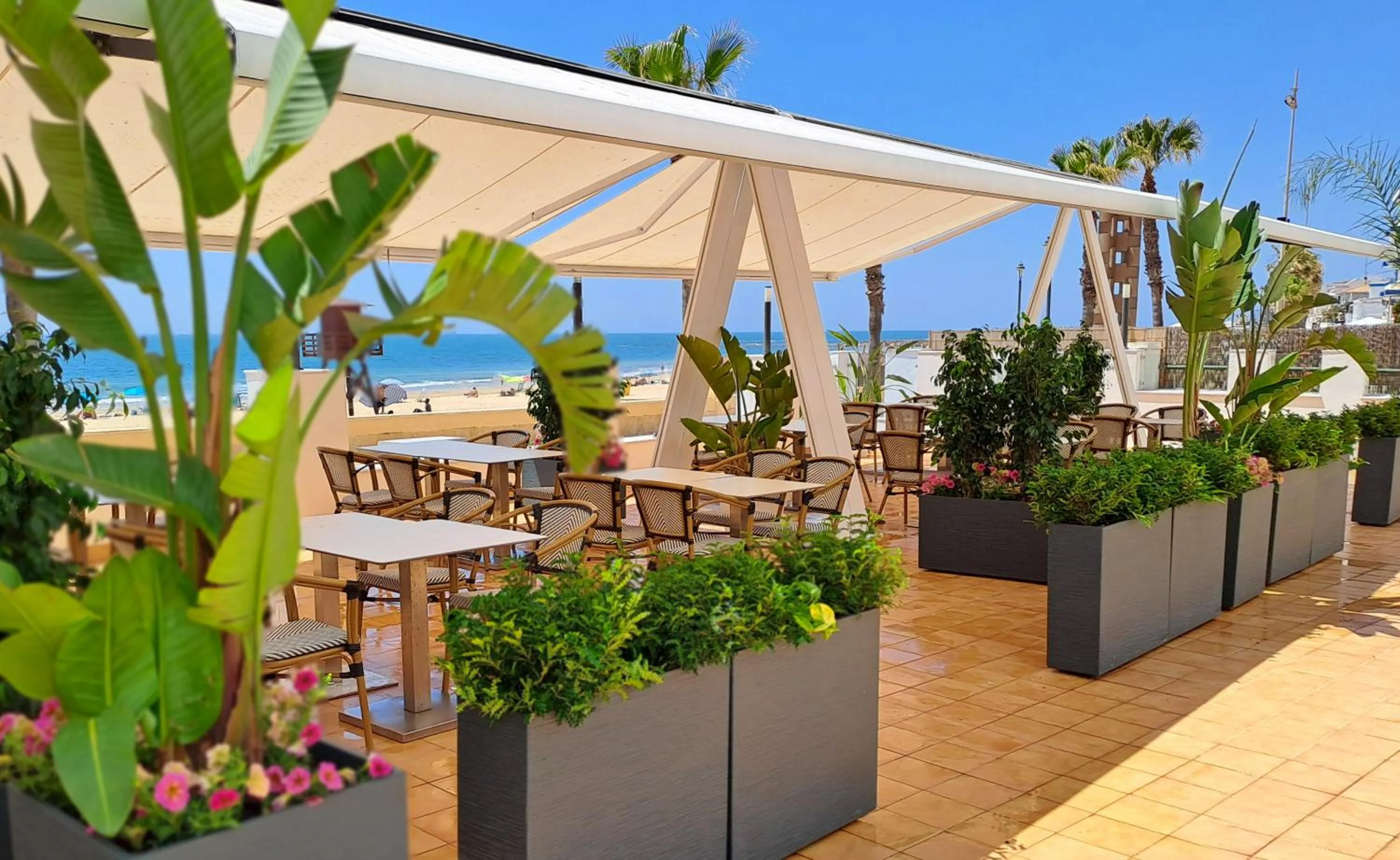 Restaurant/places to eat in Hotel Vértice Chipiona Mar