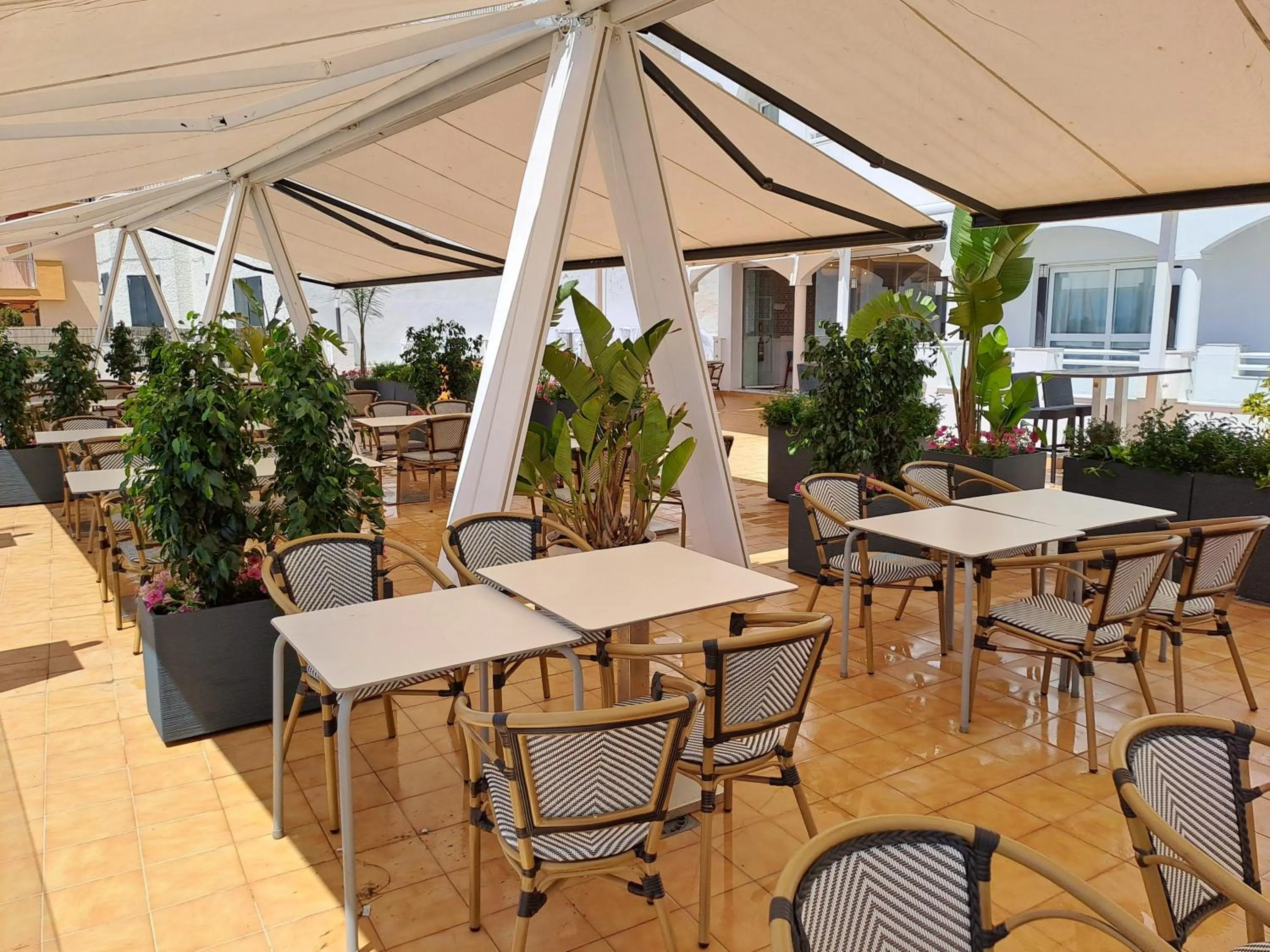 Restaurant/places to eat in Hotel Vértice Chipiona Mar