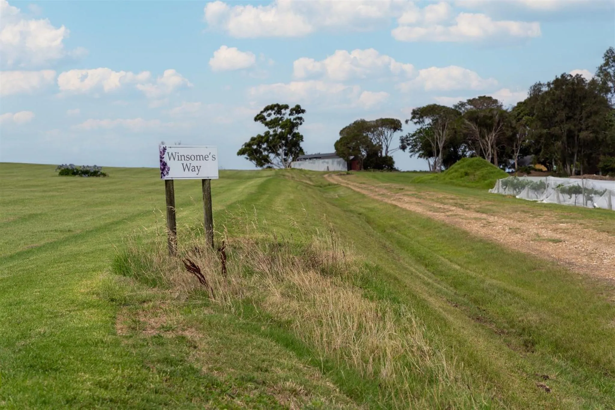 View (from property/room) in Coolangatta Estate Shoalhaven Heads