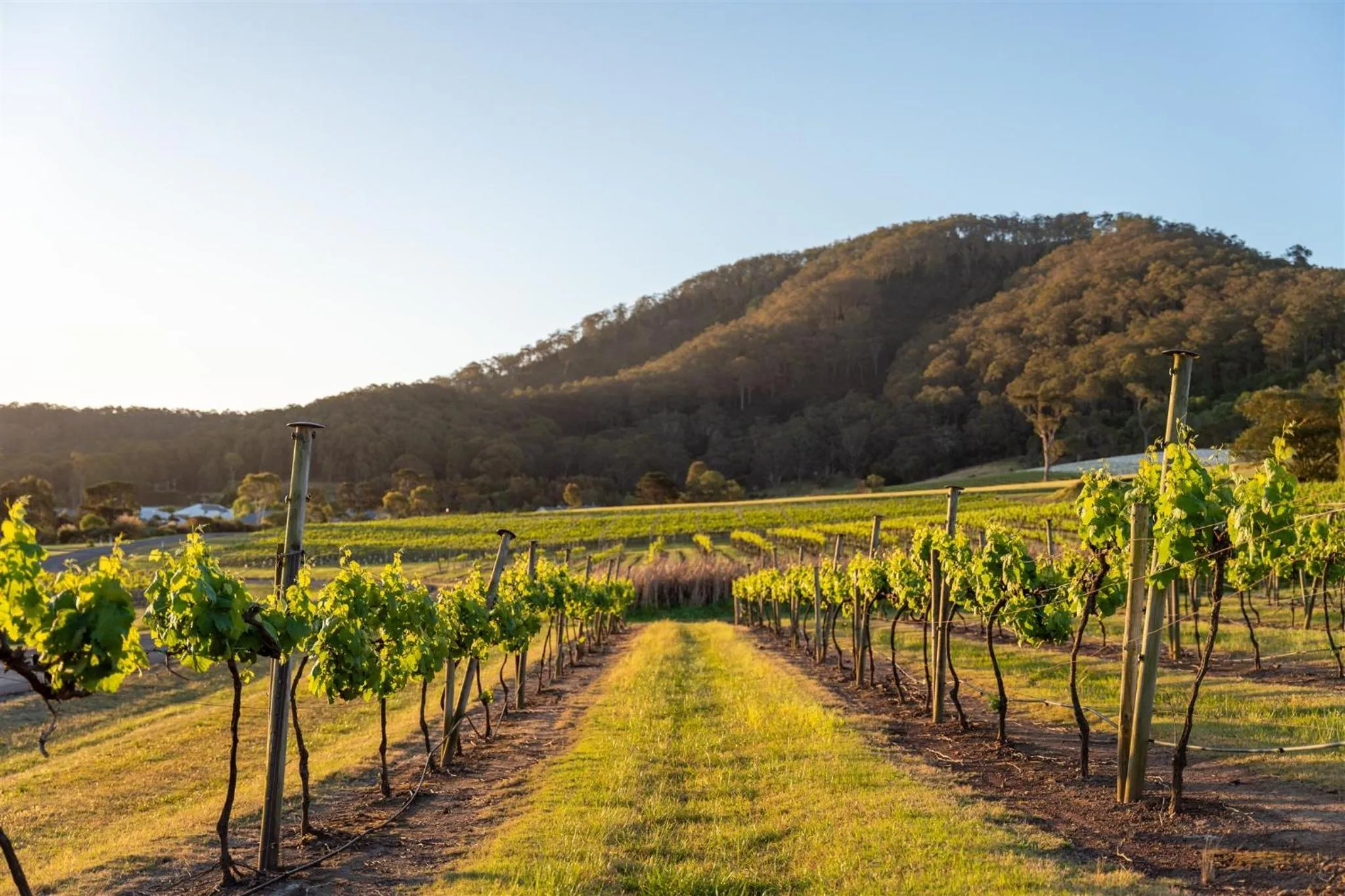 View (from property/room) in Coolangatta Estate Shoalhaven Heads