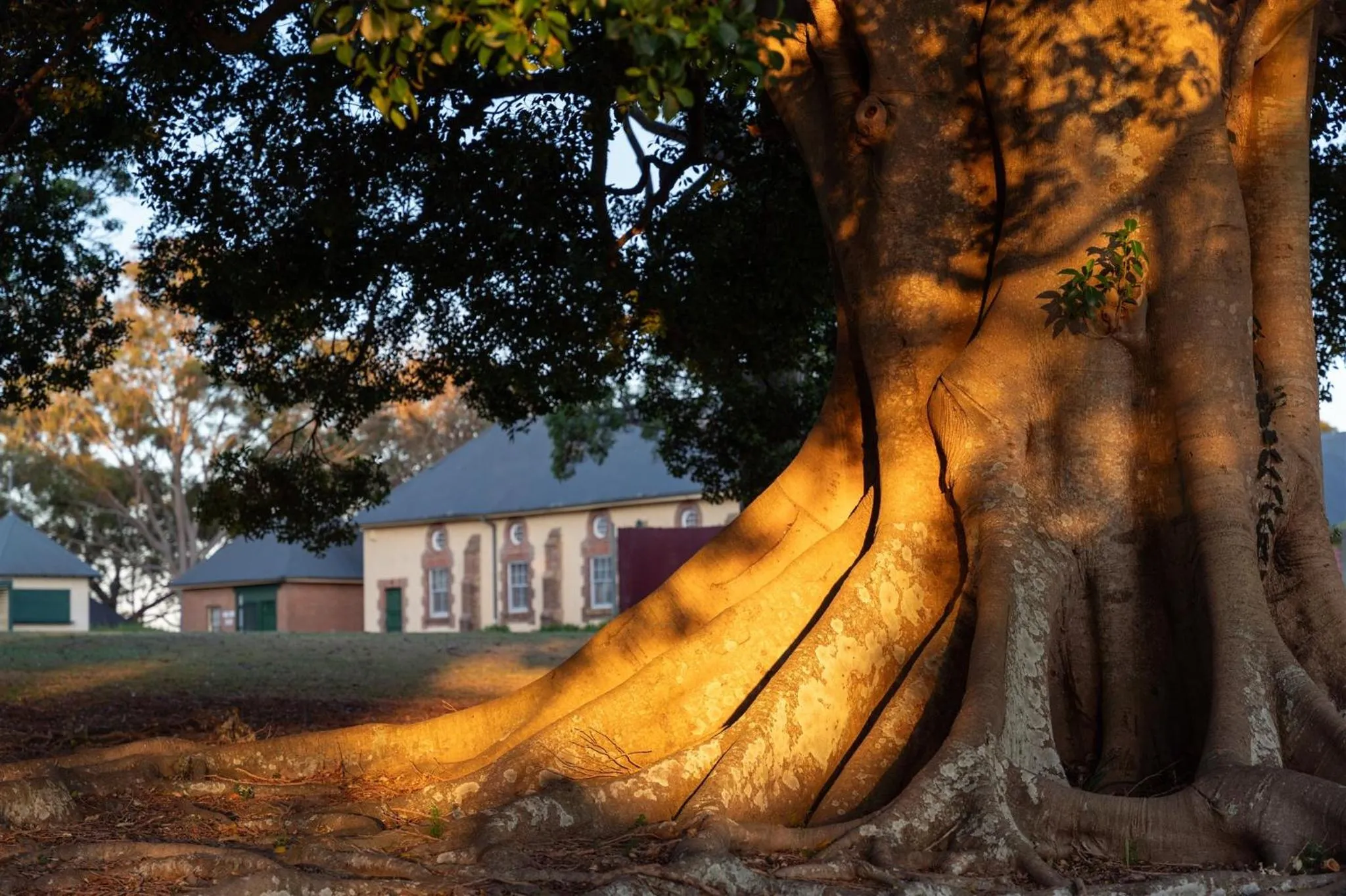 View (from property/room) in Coolangatta Estate Shoalhaven Heads