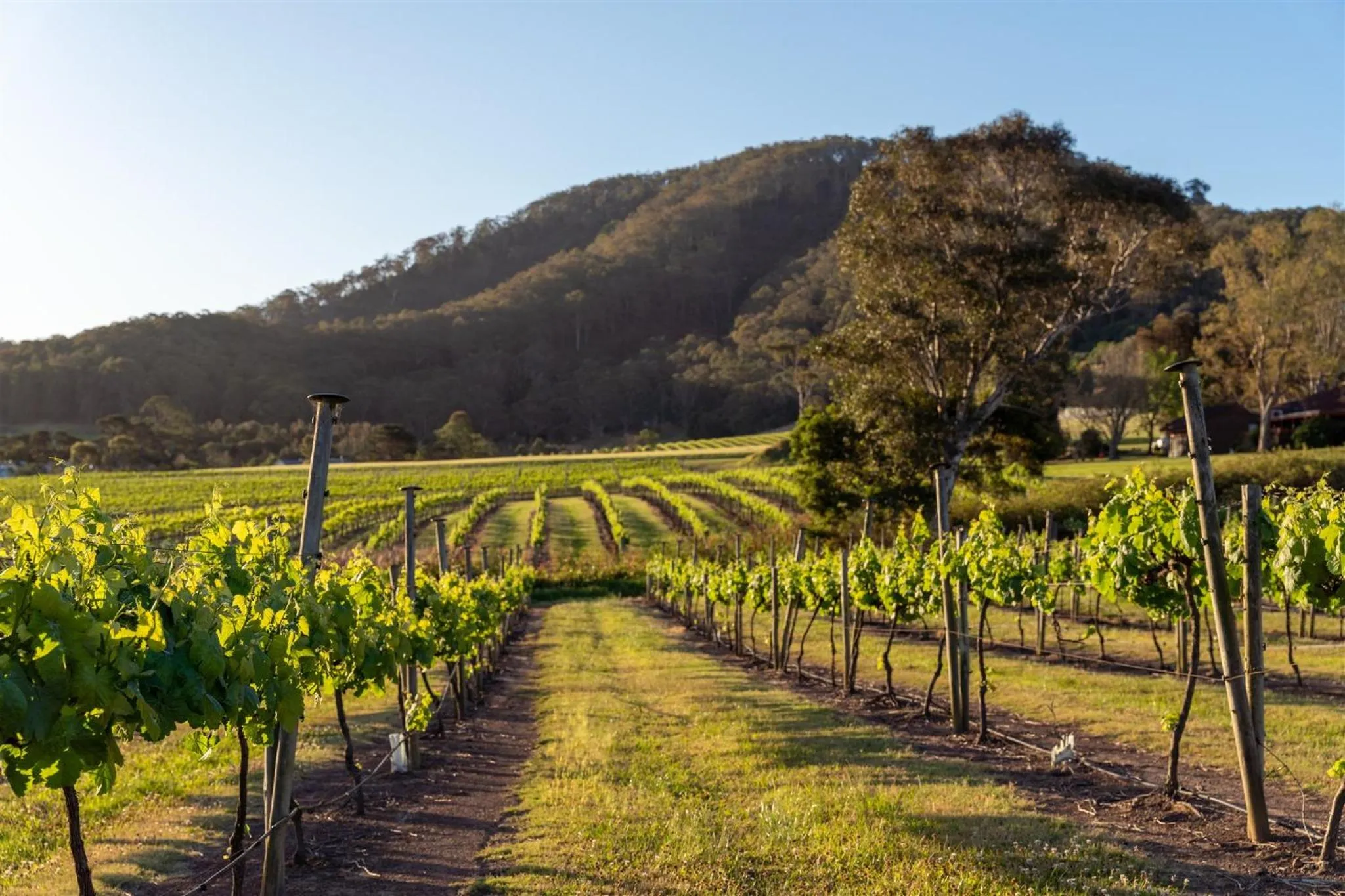 View (from property/room) in Coolangatta Estate Shoalhaven Heads