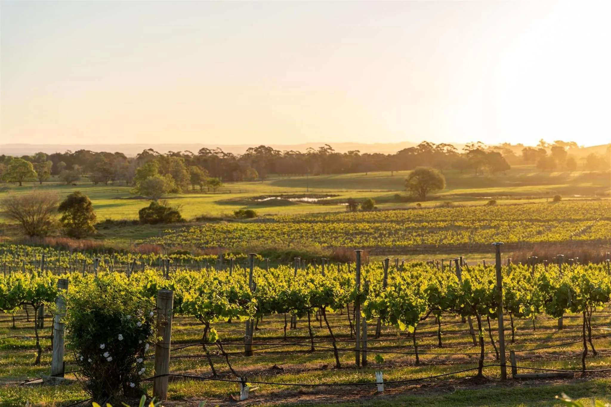 View (from property/room) in Coolangatta Estate Shoalhaven Heads