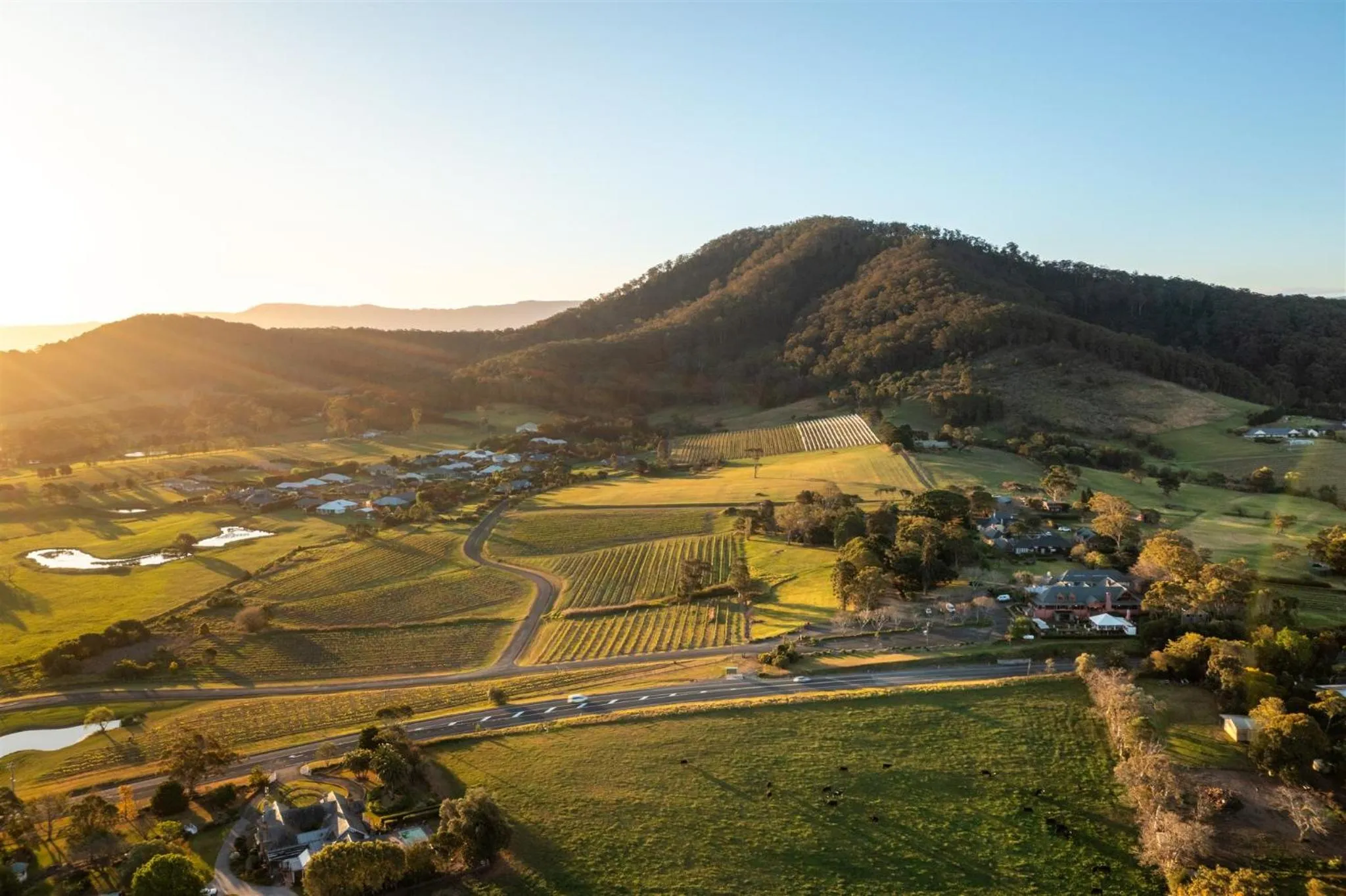 Bird's eye view in Coolangatta Estate Shoalhaven Heads
