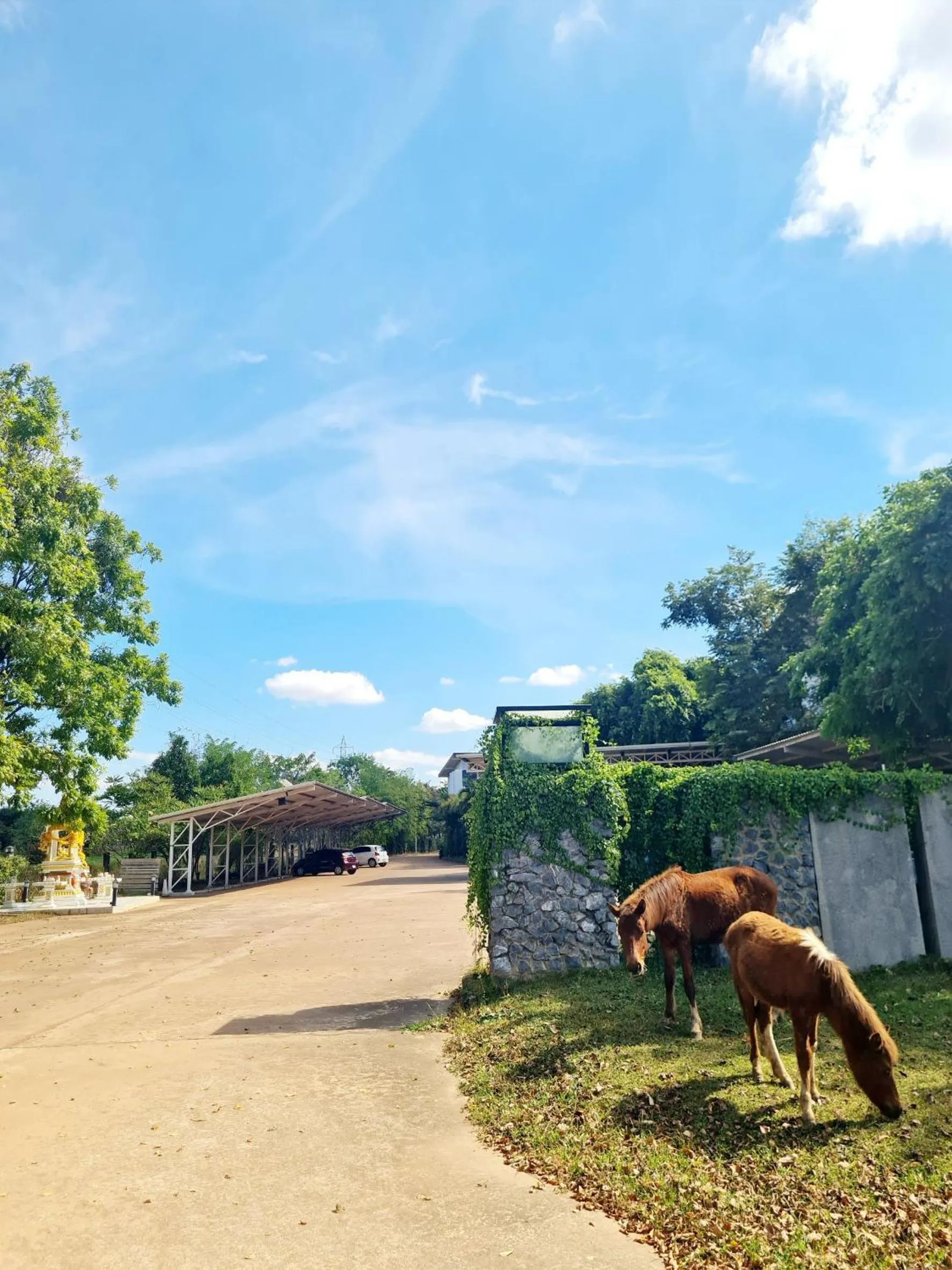 Facade/entrance in Bualinn Resort