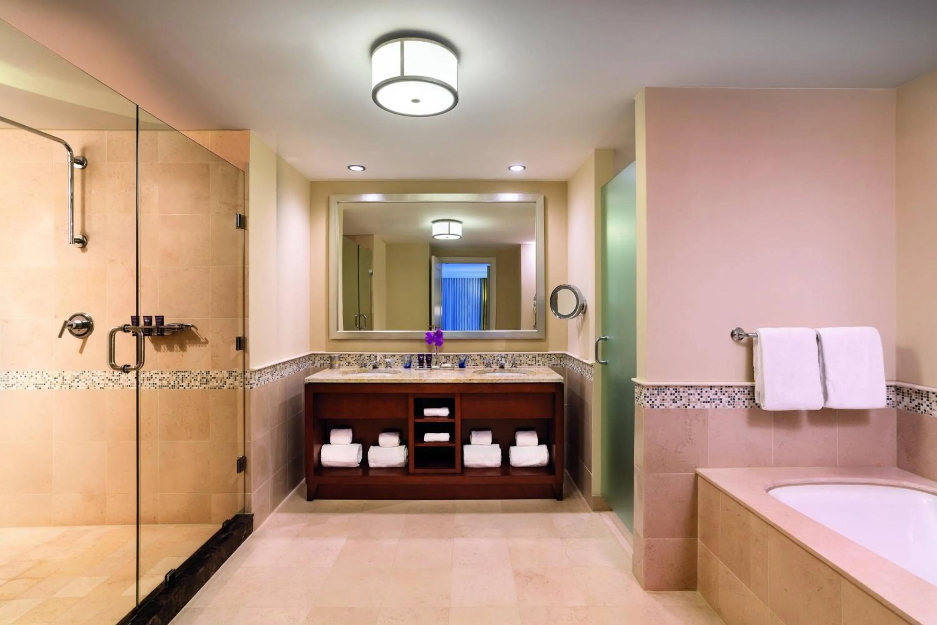 Bathroom in The Ritz-Carlton, Aruba