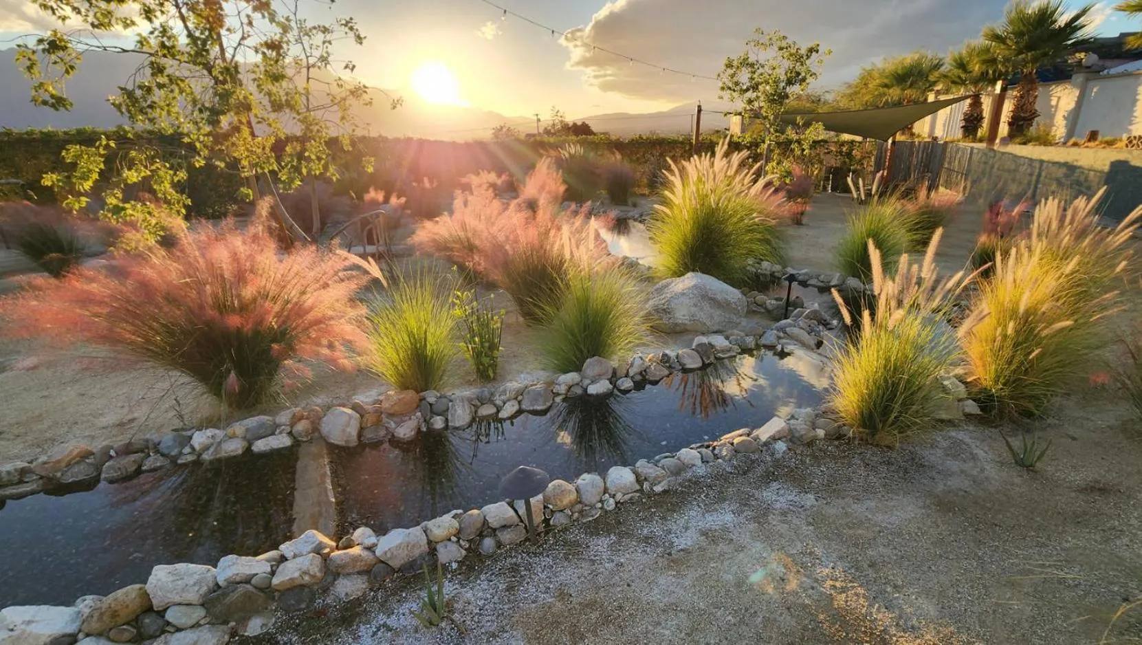 Natural landscape in Azure Palm Hot Springs