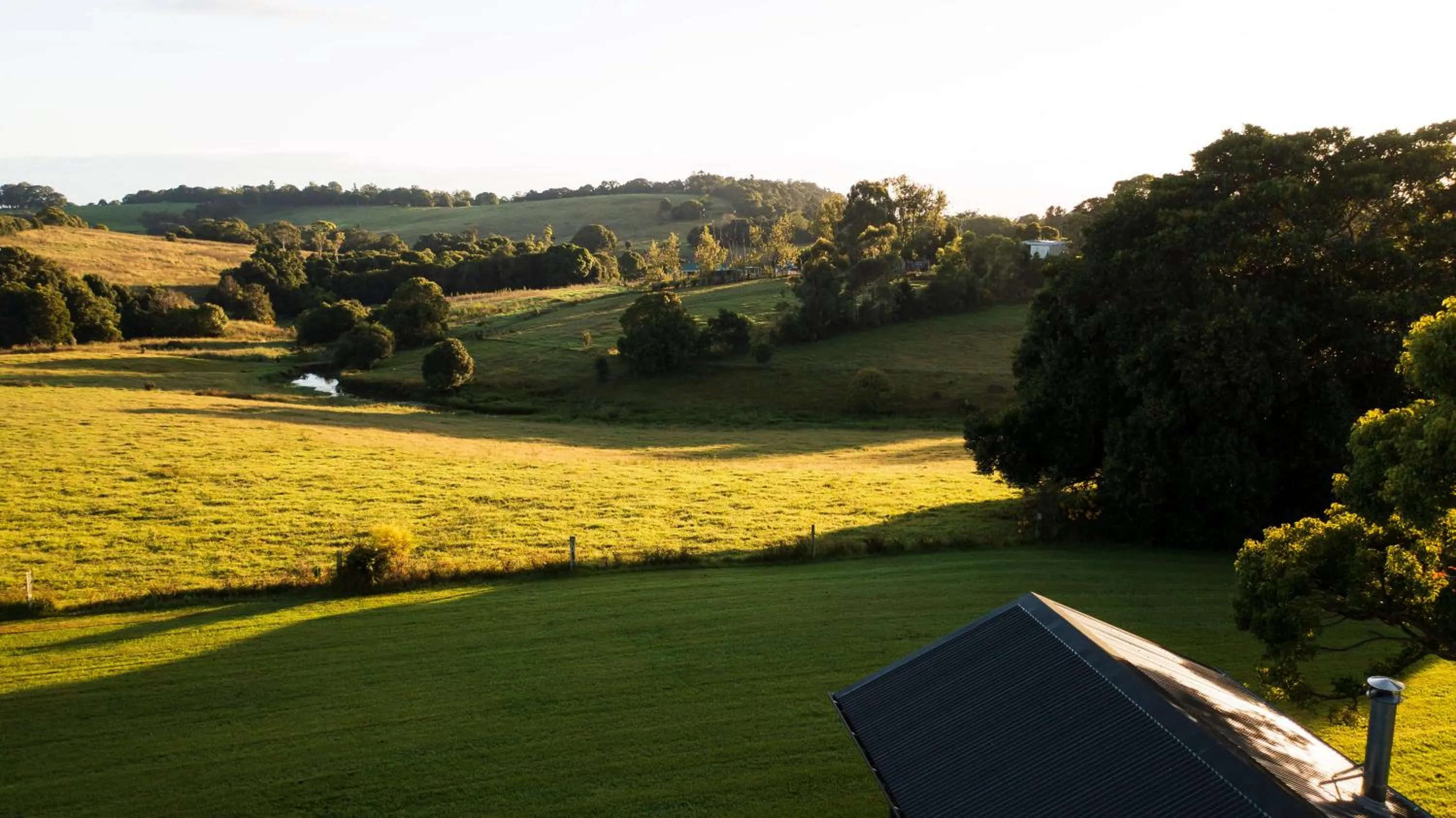 Natural landscape in Beechmont Estate