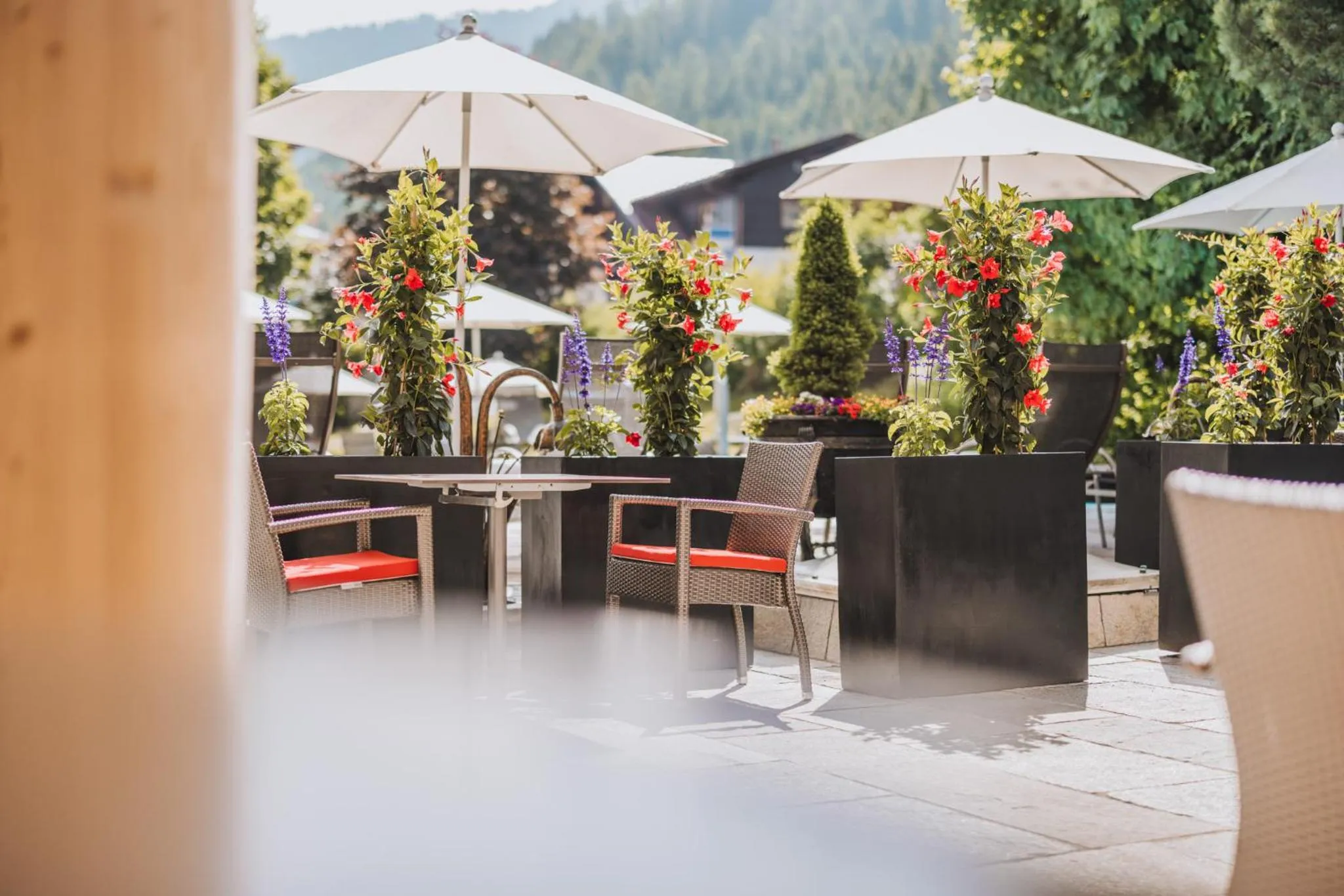 Garden view in Hotel Gaspingerhof