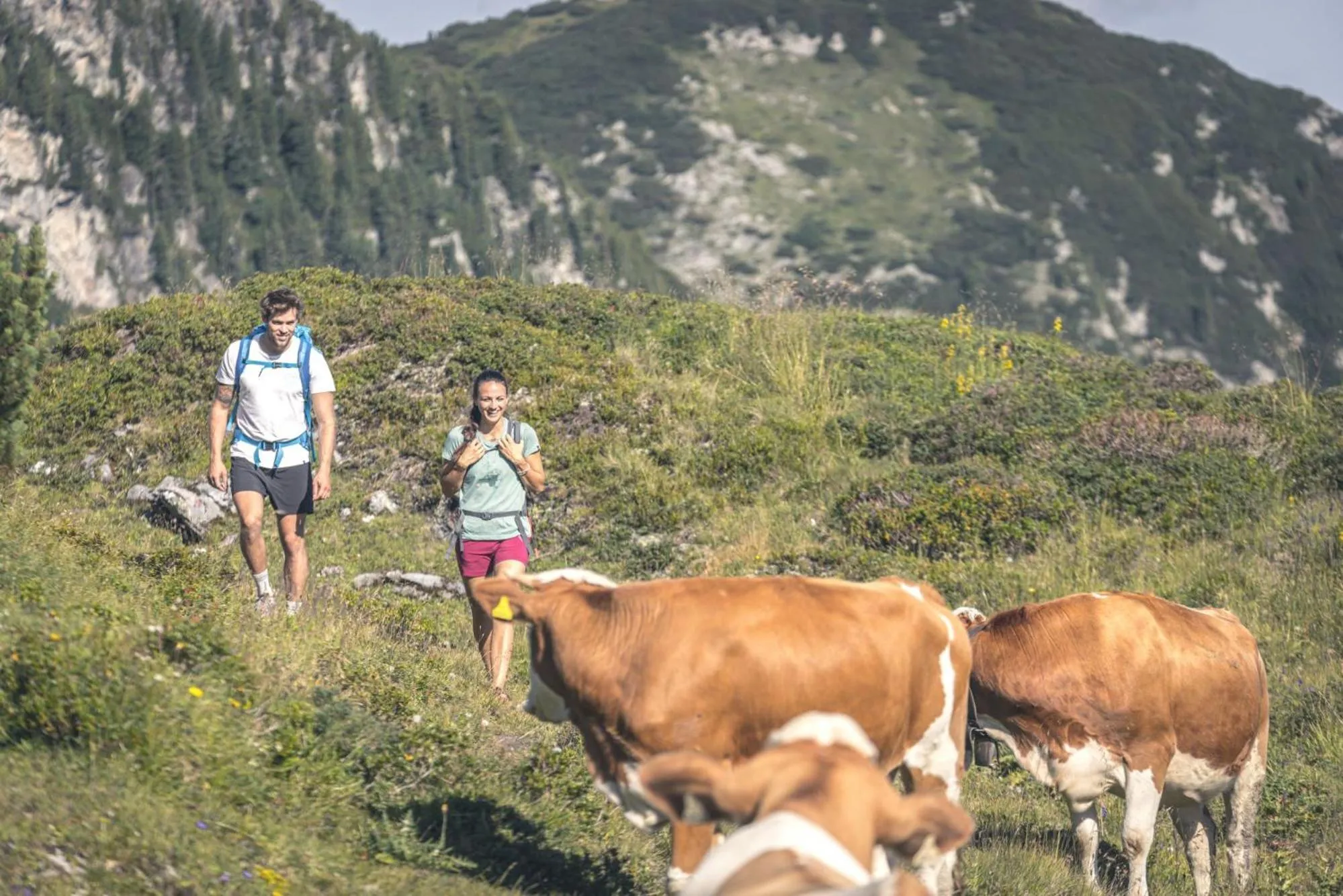 Hiking in Hotel Gaspingerhof