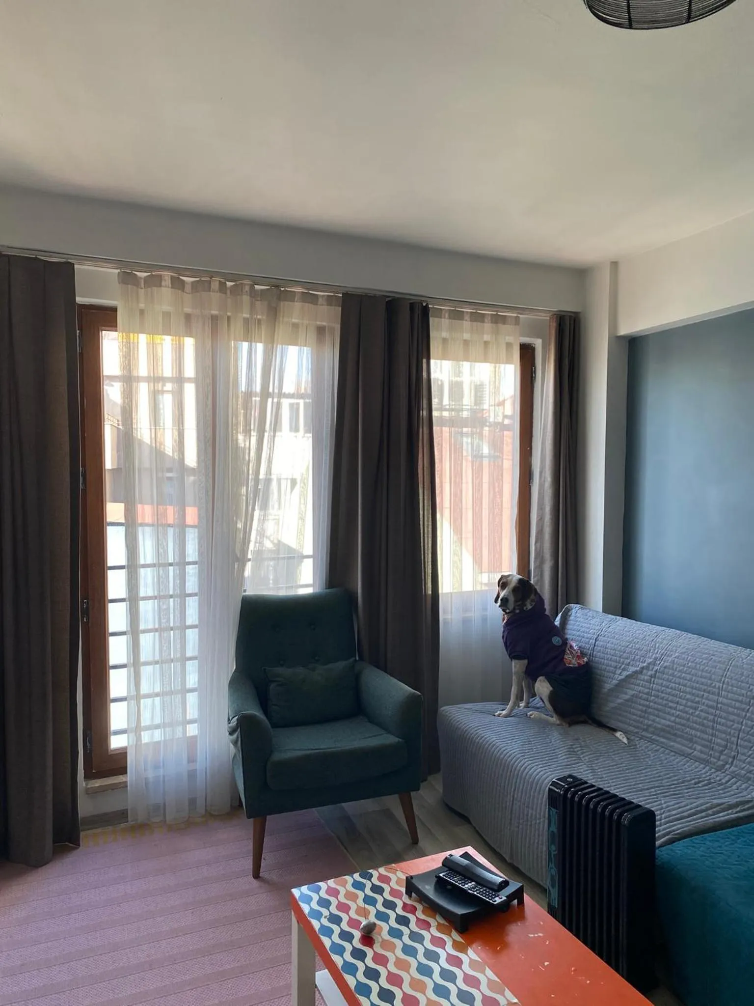pet friendly in Istanbul Hub Flats