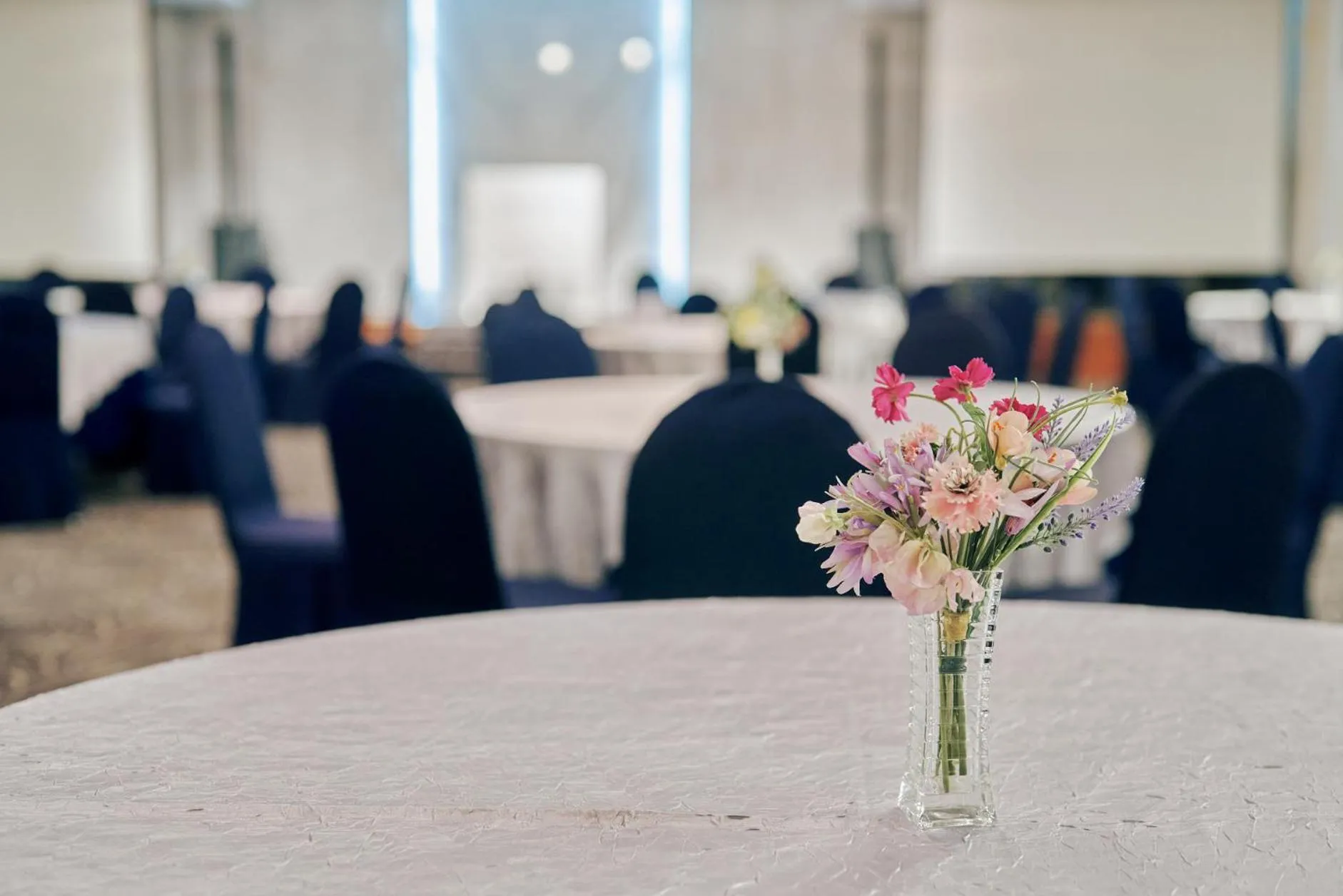 Banquet/Function facilities in Hotel Aqua Palace