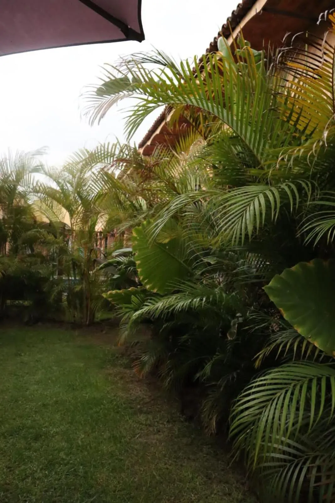 Hotel Boutique Sol y Luna SPA