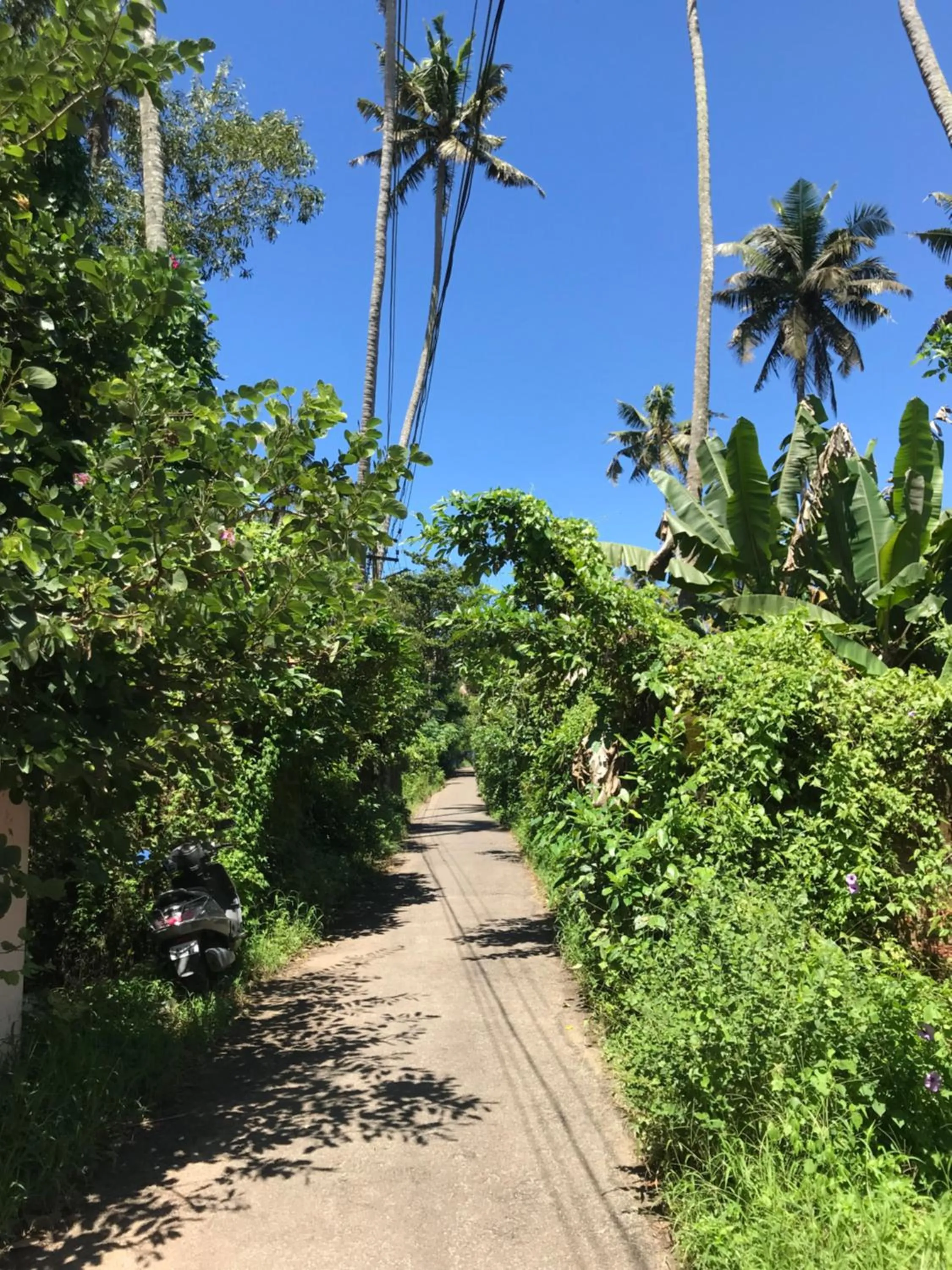 Other in Mandaram villas