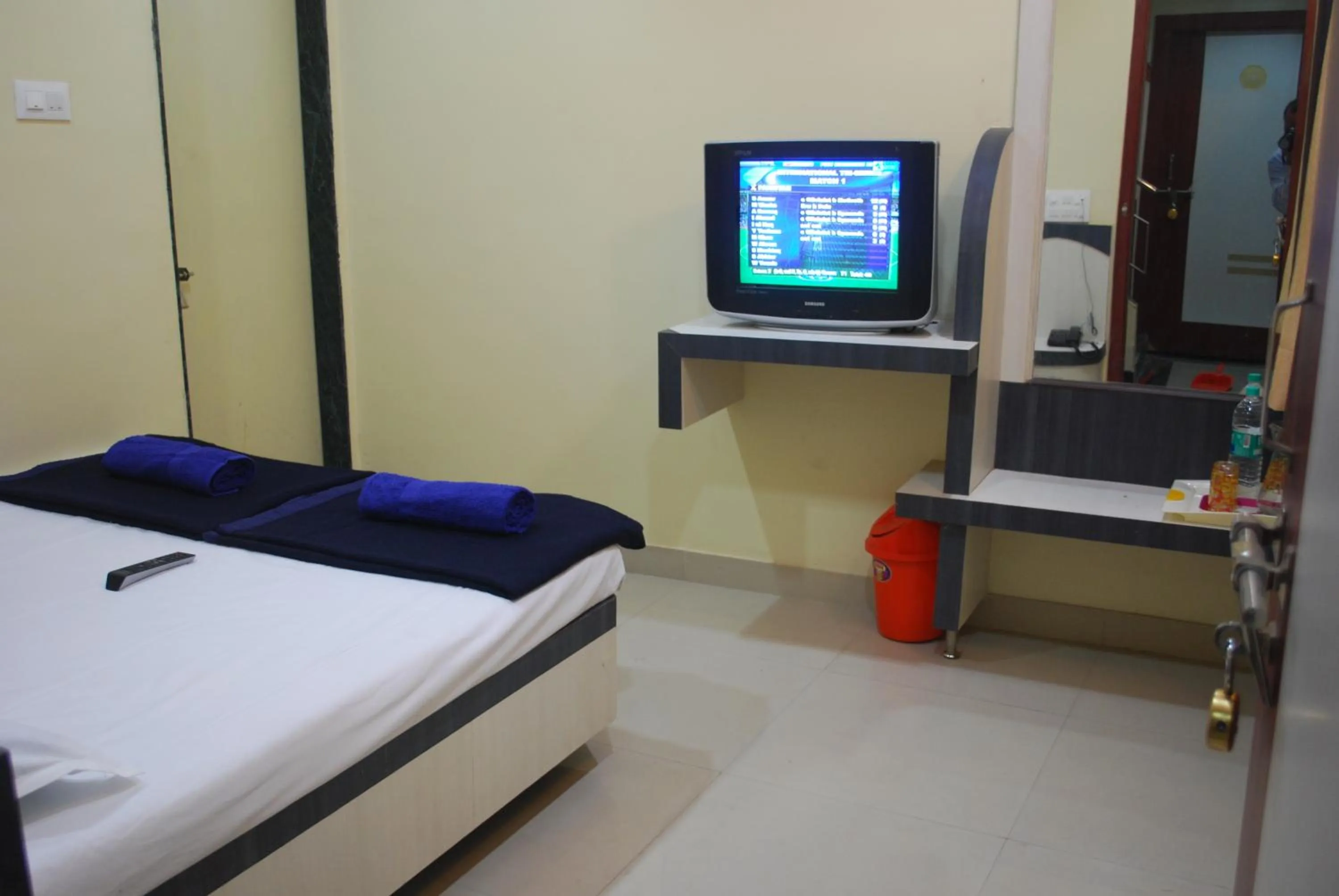 TV and multimedia in Hotel Disha Palace