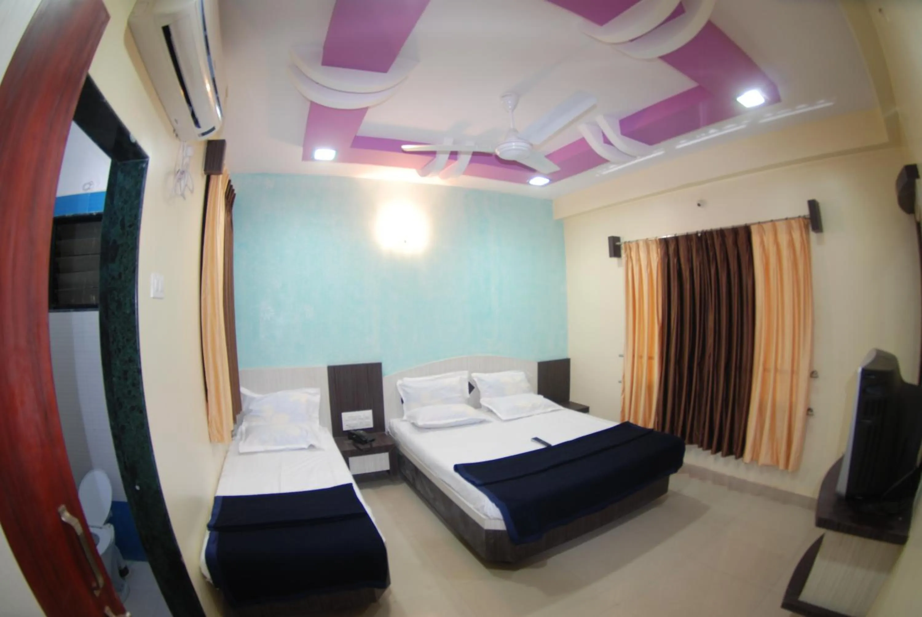 TV and multimedia in Hotel Disha Palace