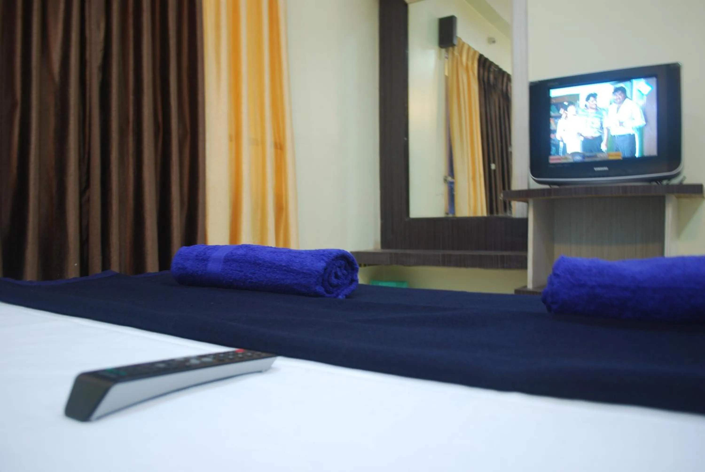 TV and multimedia in Hotel Disha Palace