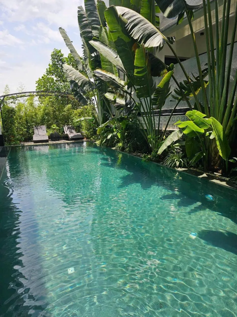 Swimming pool in Lotus Hotel Ninh Bình