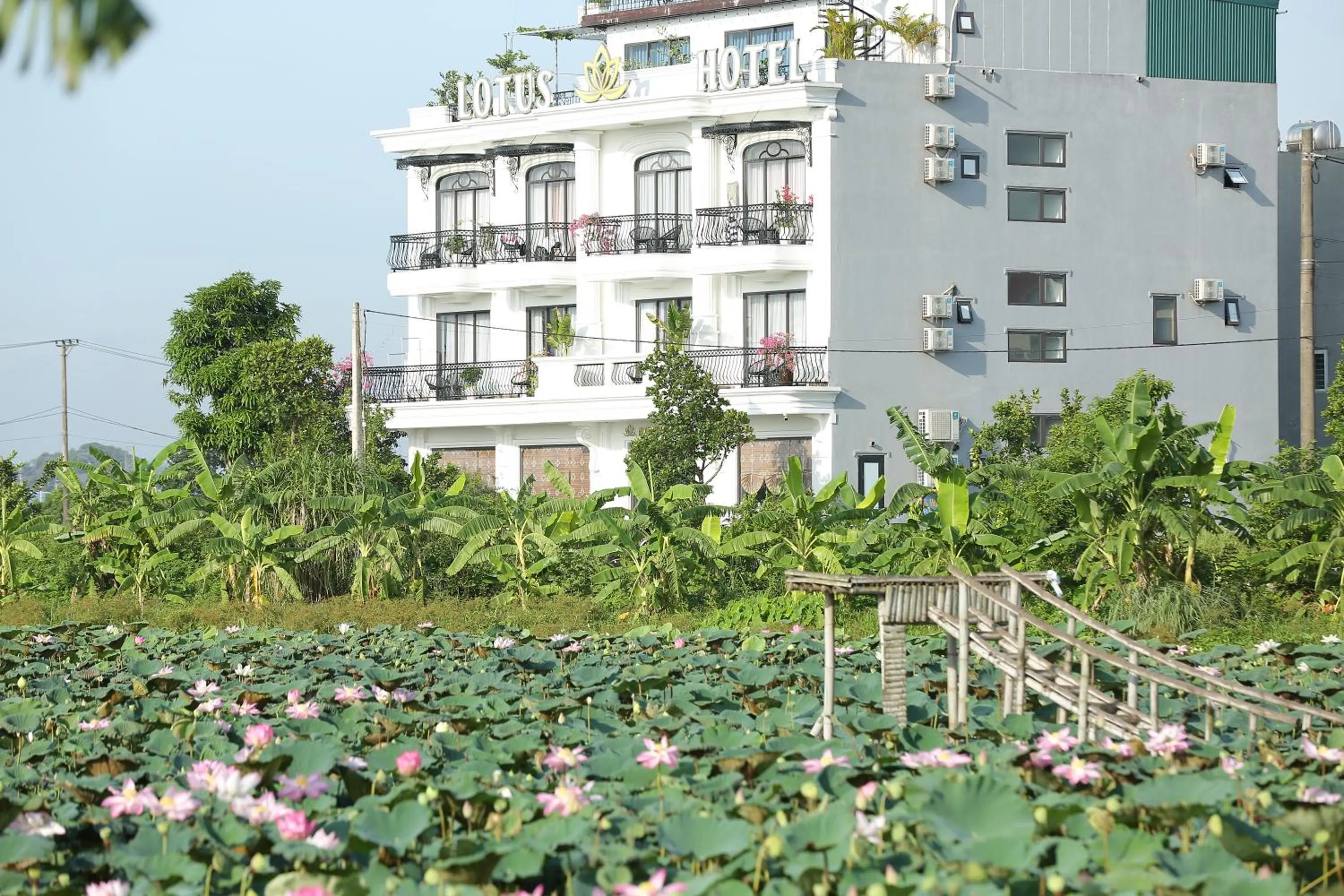 Property building in Lotus Hotel Ninh Bình