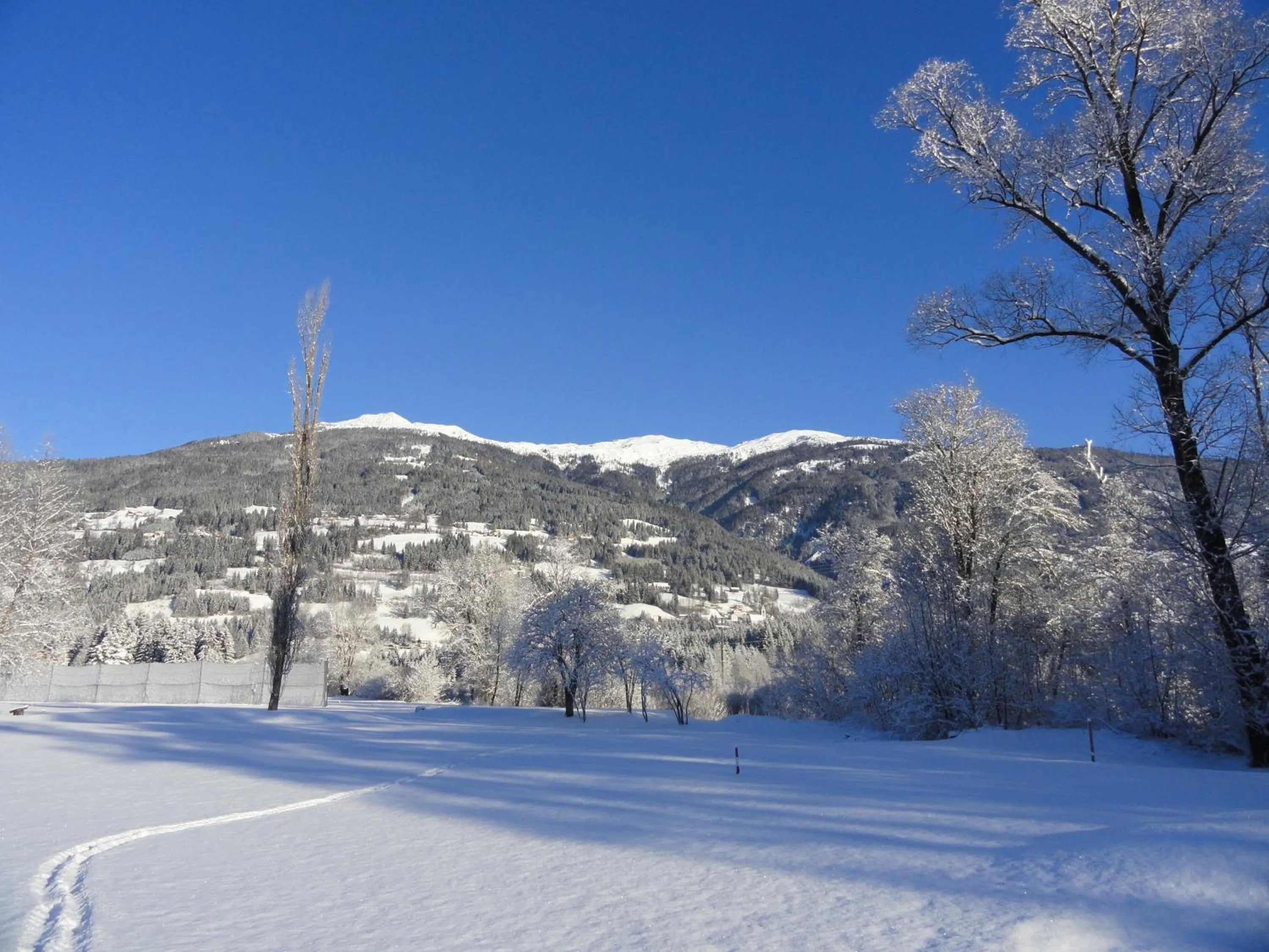 Garden view in Hotel Berghof