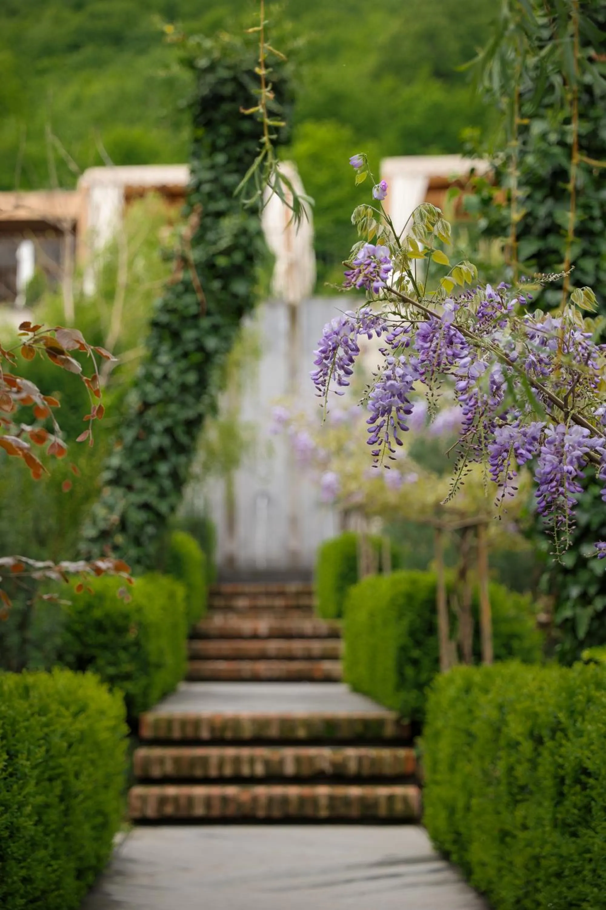 Garden in Dilijani Tun Hotel & Restaurant